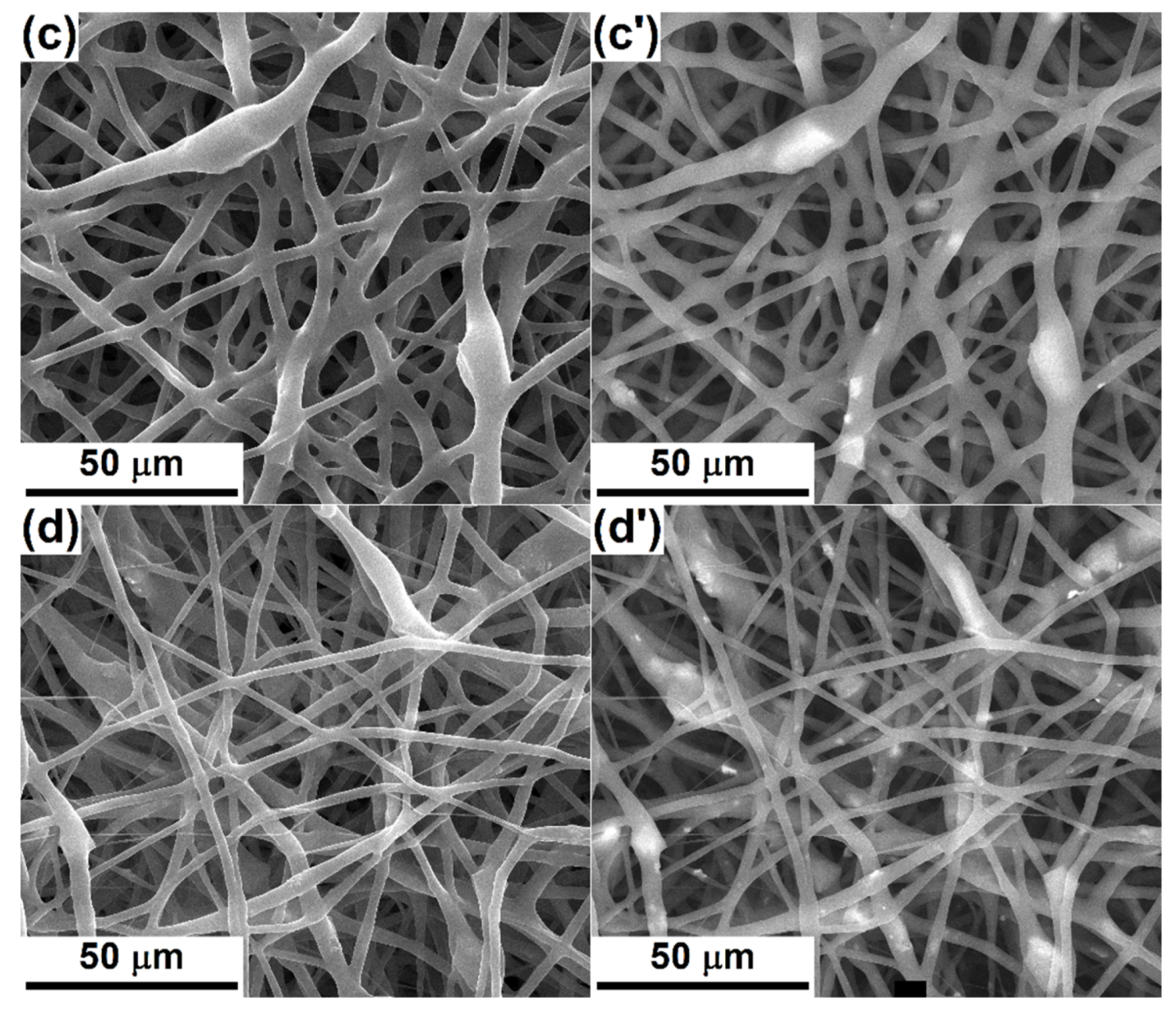 Polymers 12 01806 g003b Polymers 12 01806 g003b
