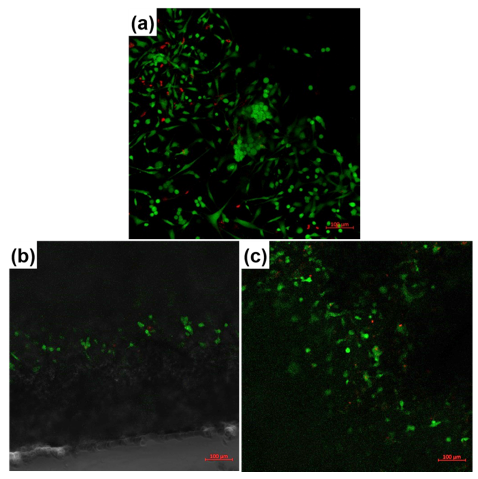 Polymers 12 01806 g006a Polymers 12 01806 g006a