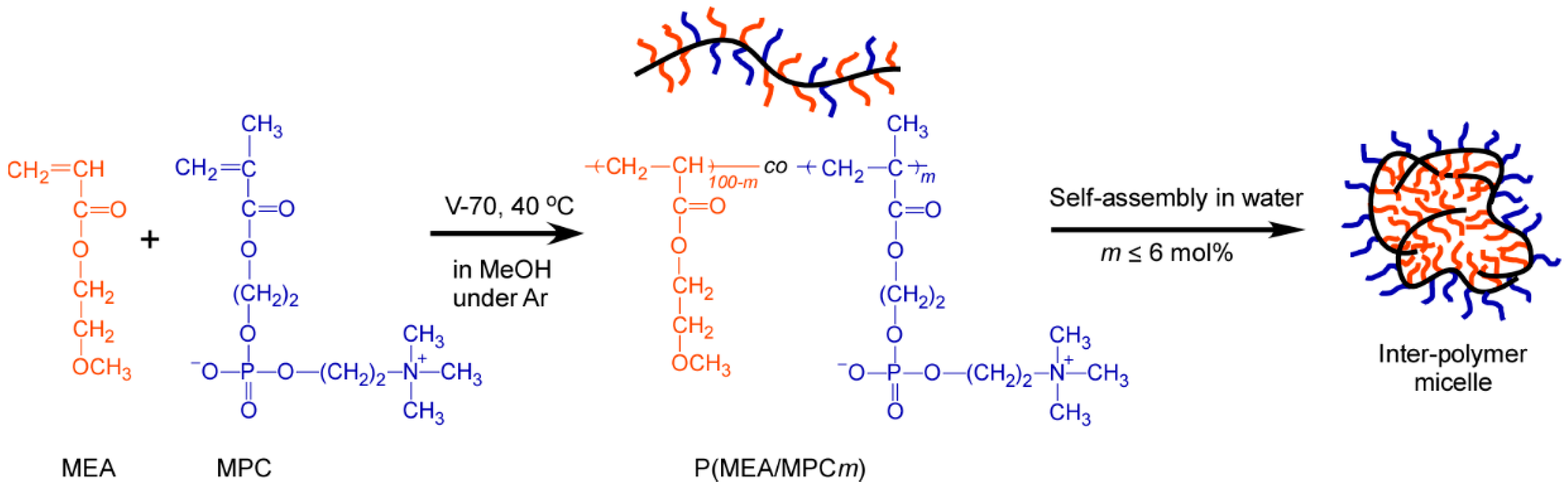 Polymers 12 01808 g001