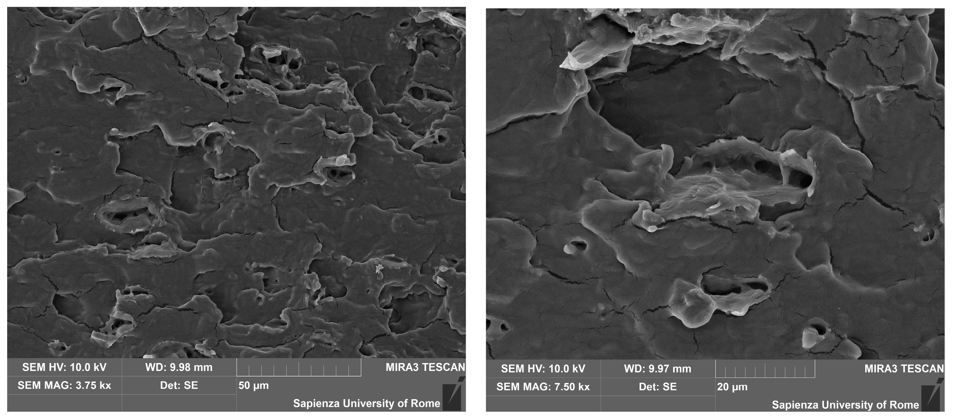 Polymers 12 01811 g007 Polymers 12 01811 g007