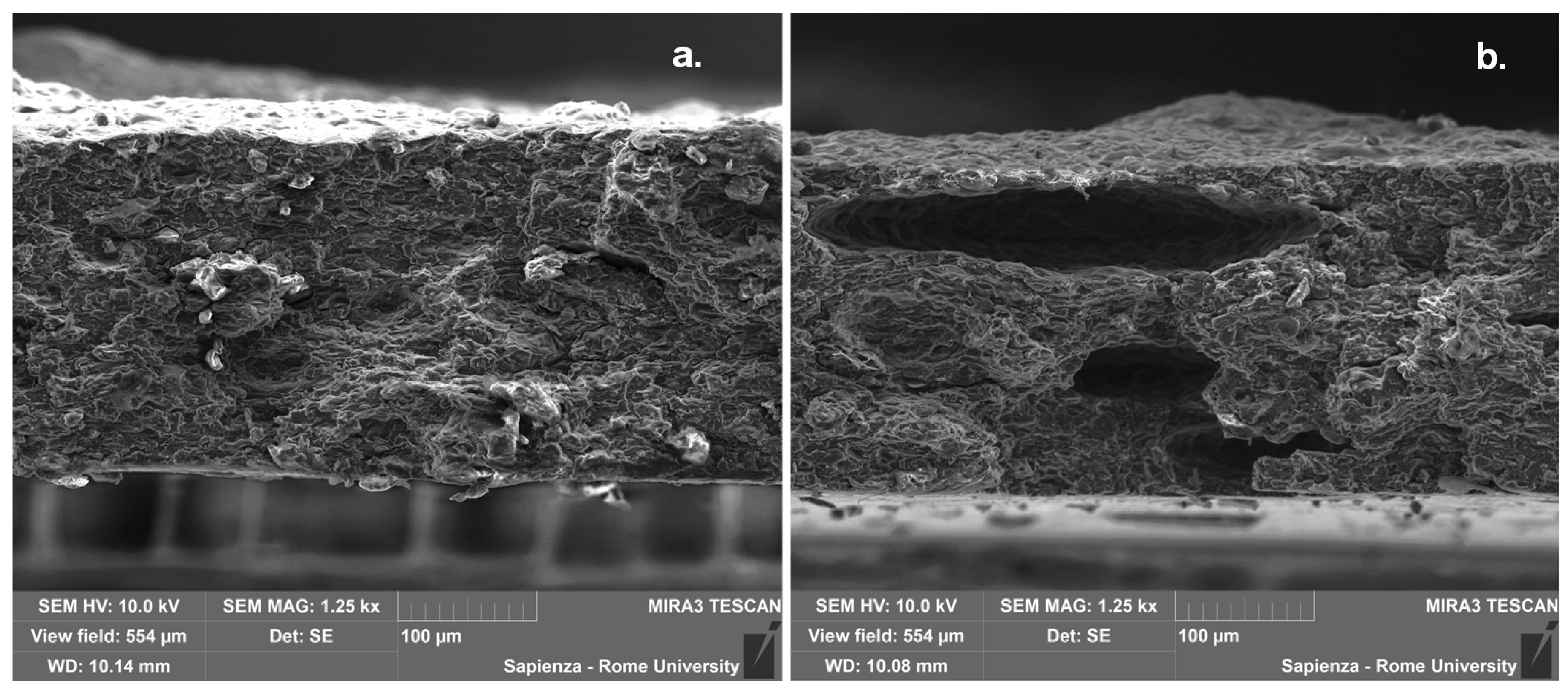 Polymers 12 01811 g008 Polymers 12 01811 g008