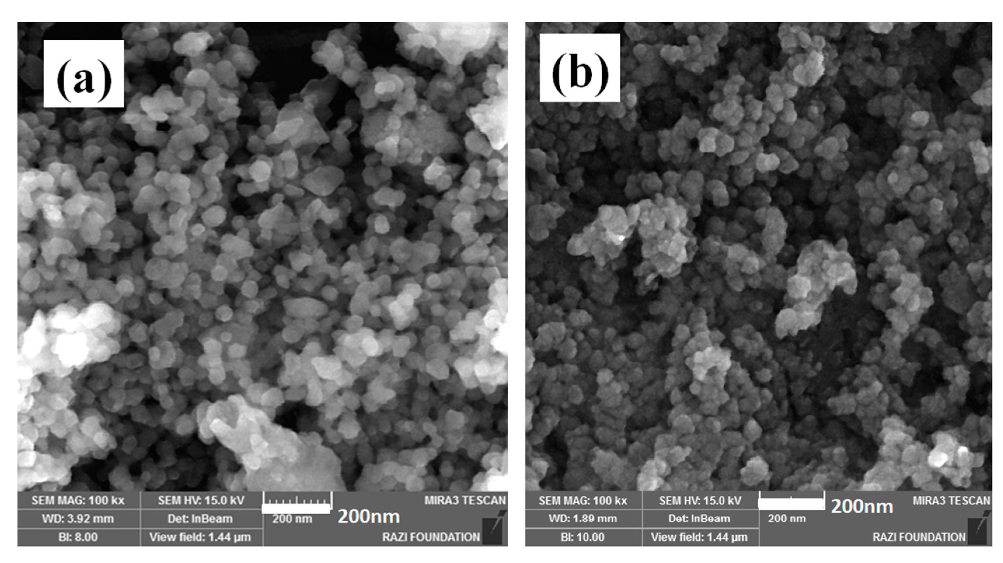 Polymers 12 01820 g003