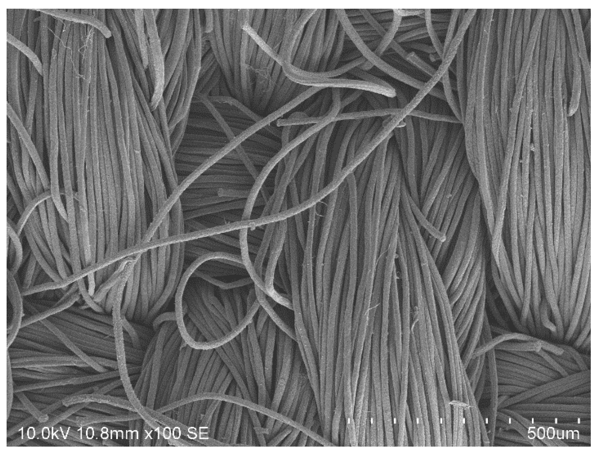 Polymers 12 01824 g011