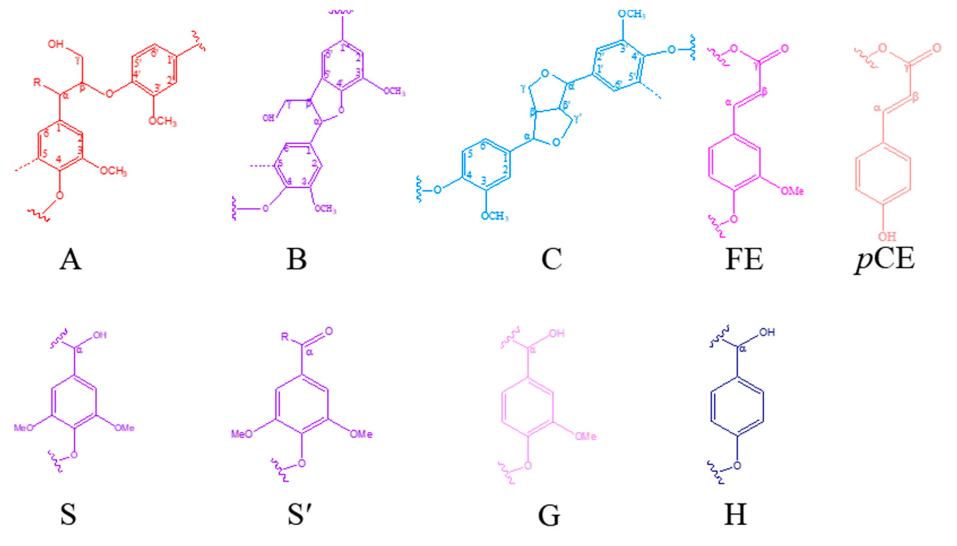 Polymers 12 01825 g003 Polymers 12 01825 g003