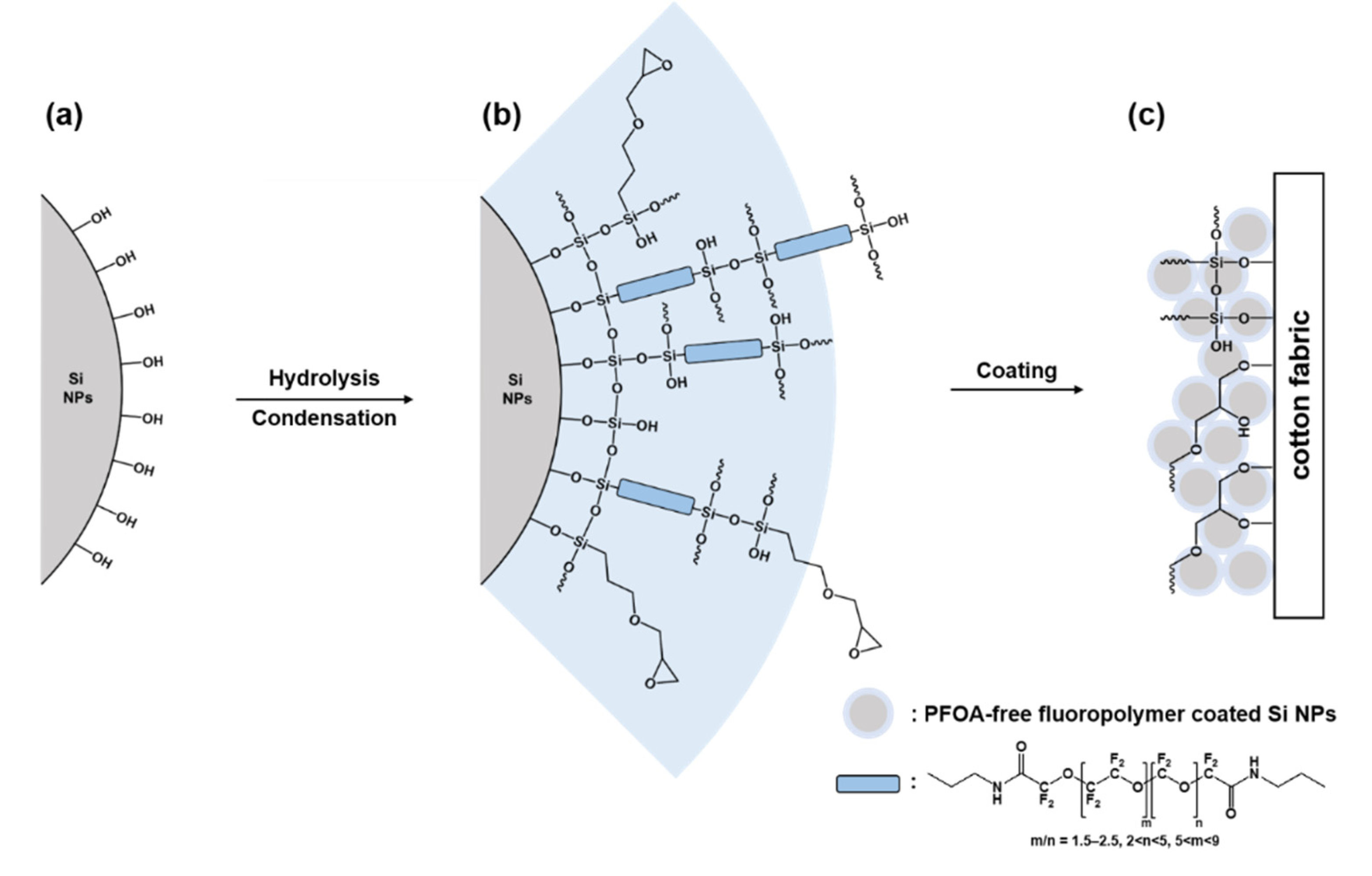 Polymers 12 01826 g001