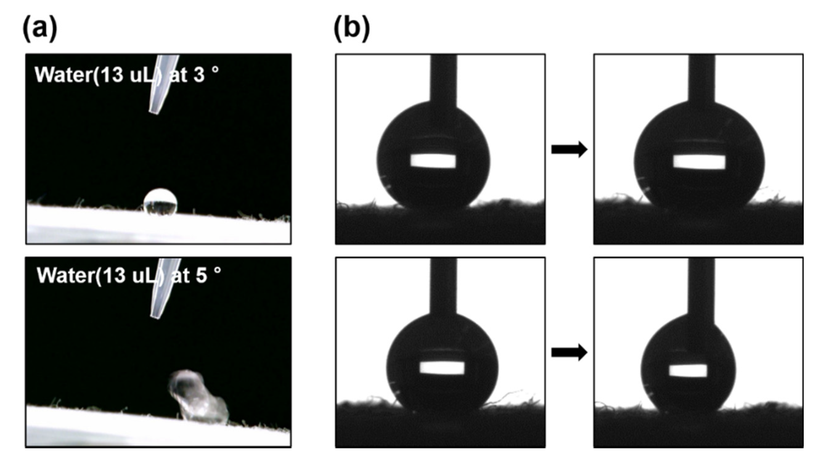 Polymers 12 01826 g006