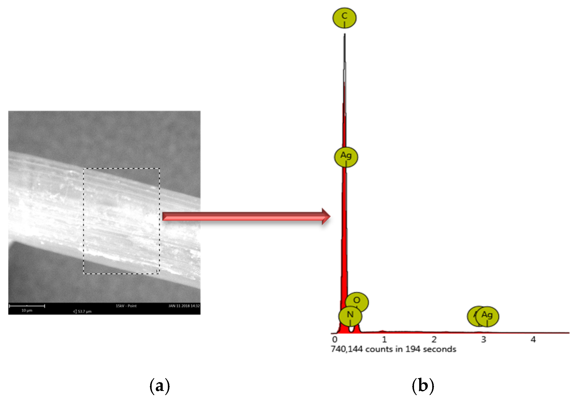 Polymers 12 01827 g007