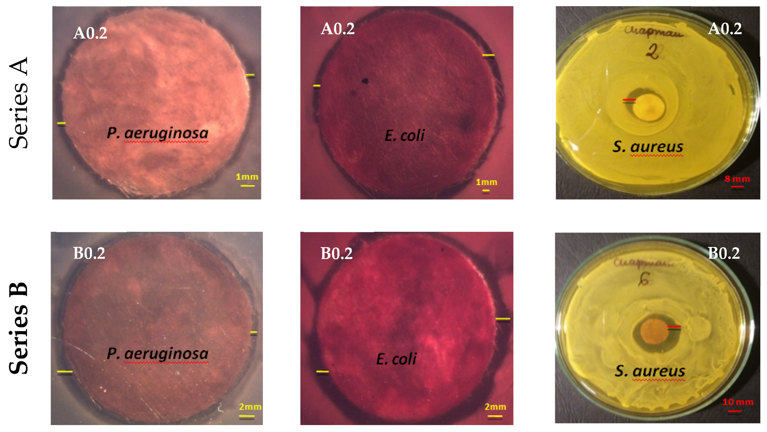 Polymers 12 01827 g013