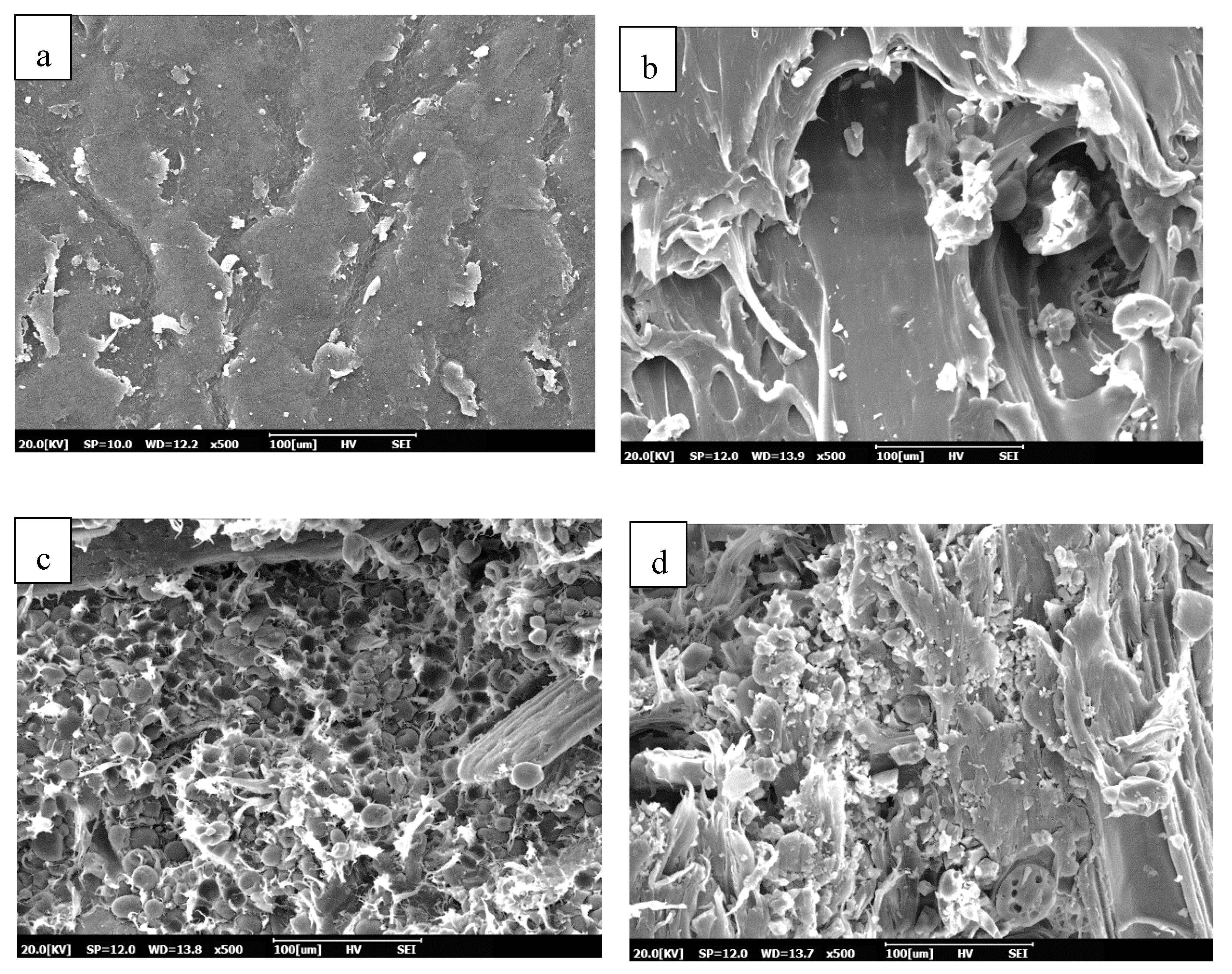 Polymers 12 01833 g005