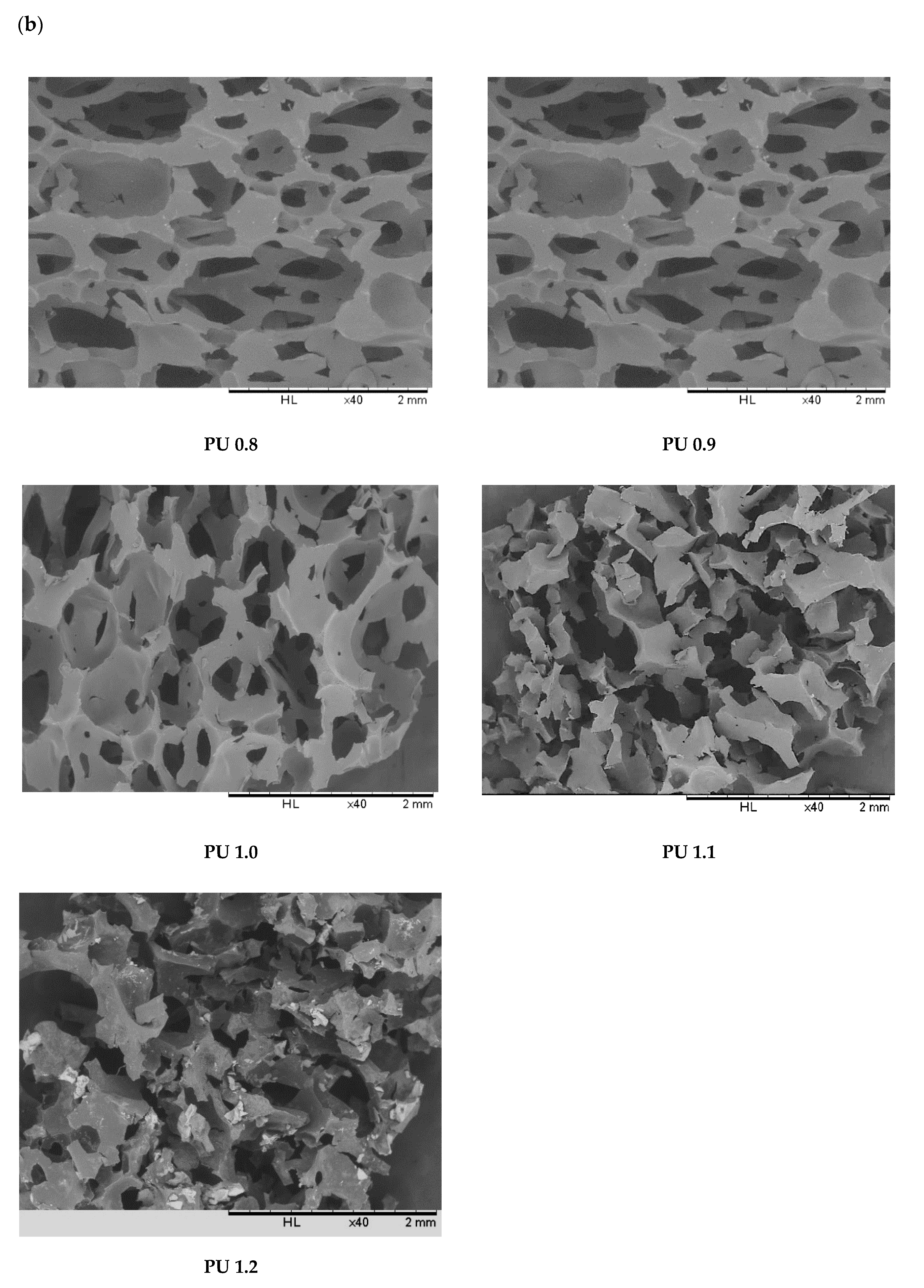 Polymers 12 01842 g010b