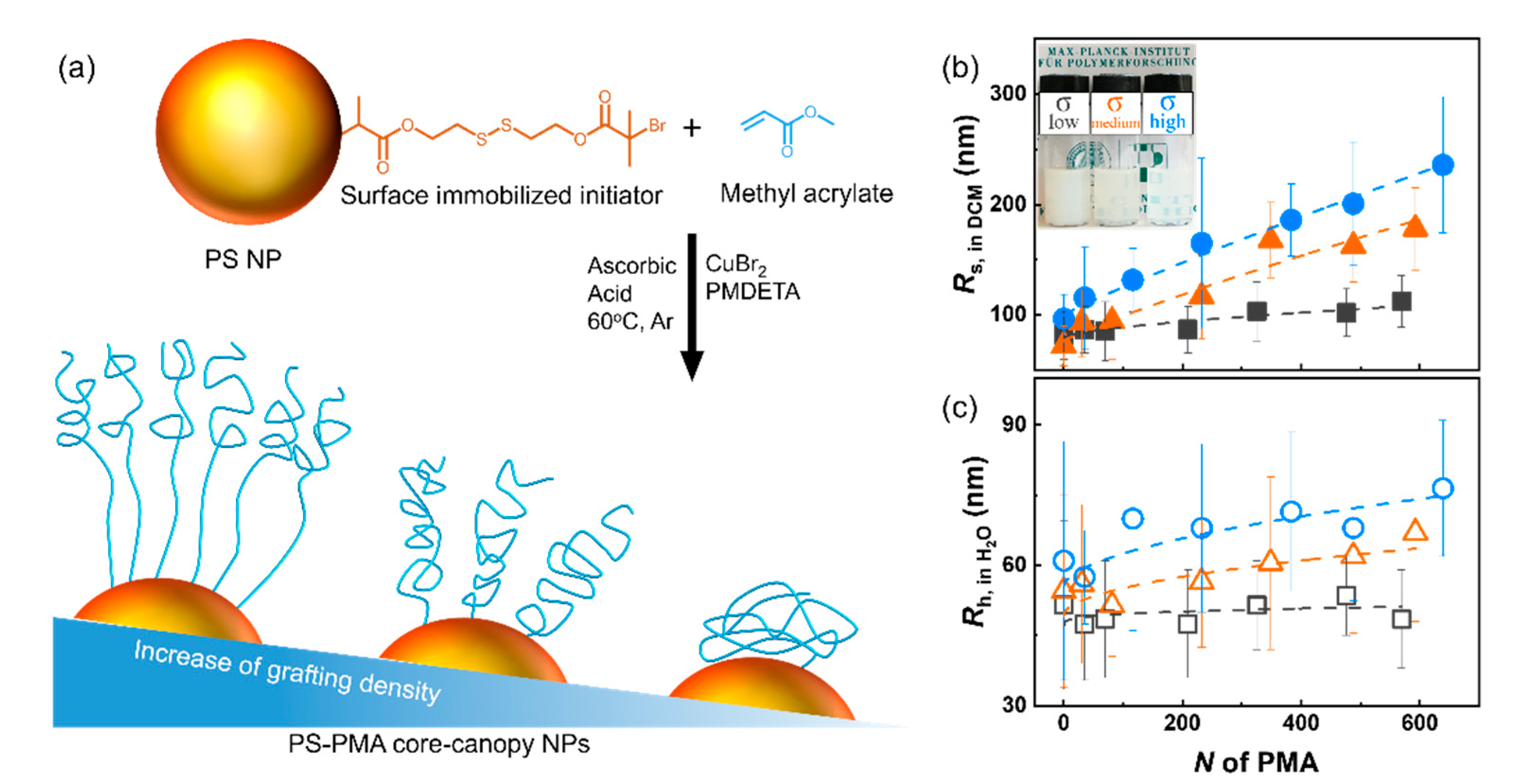 Polymers 12 01844 g001
