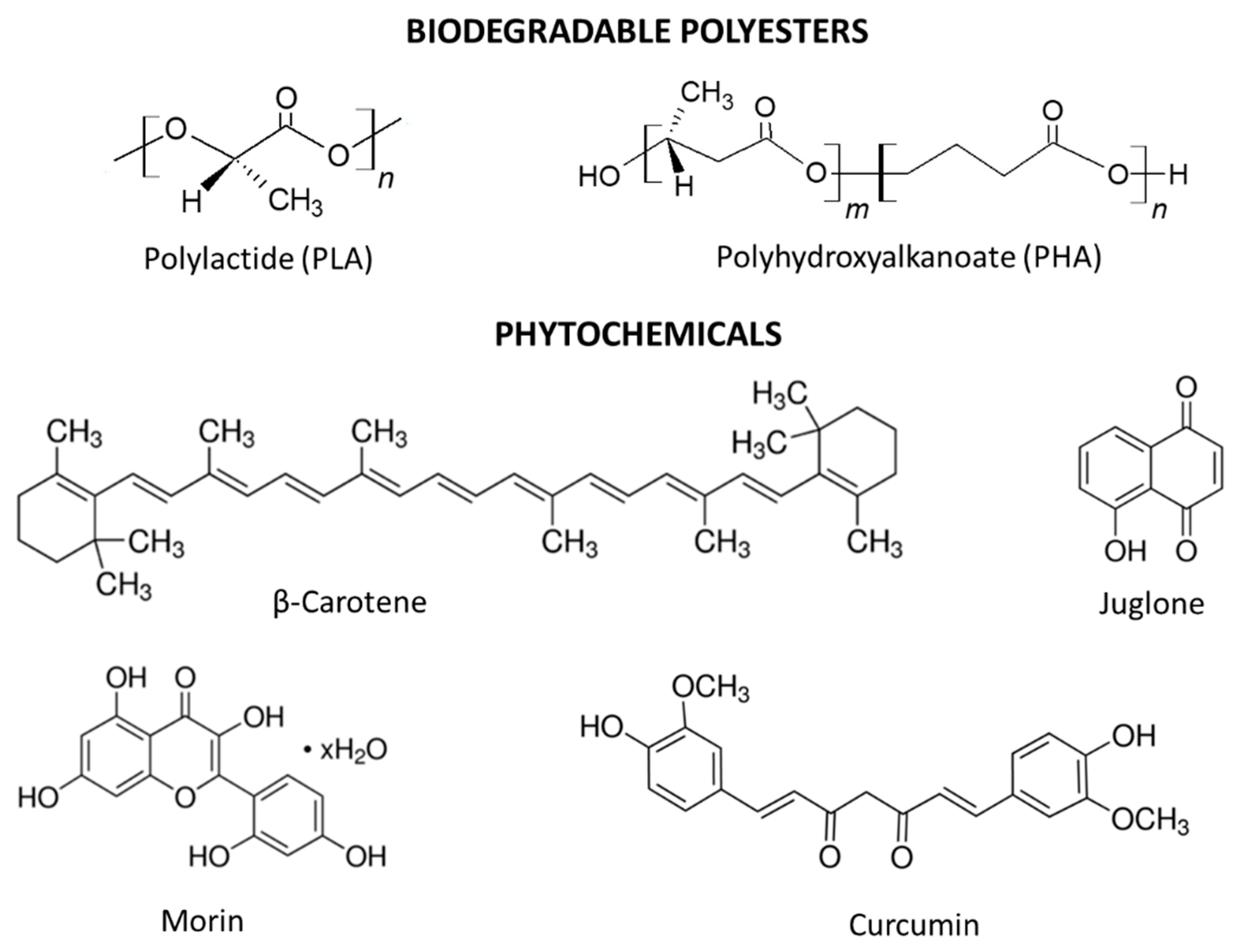 Polymers 12 01856 g001