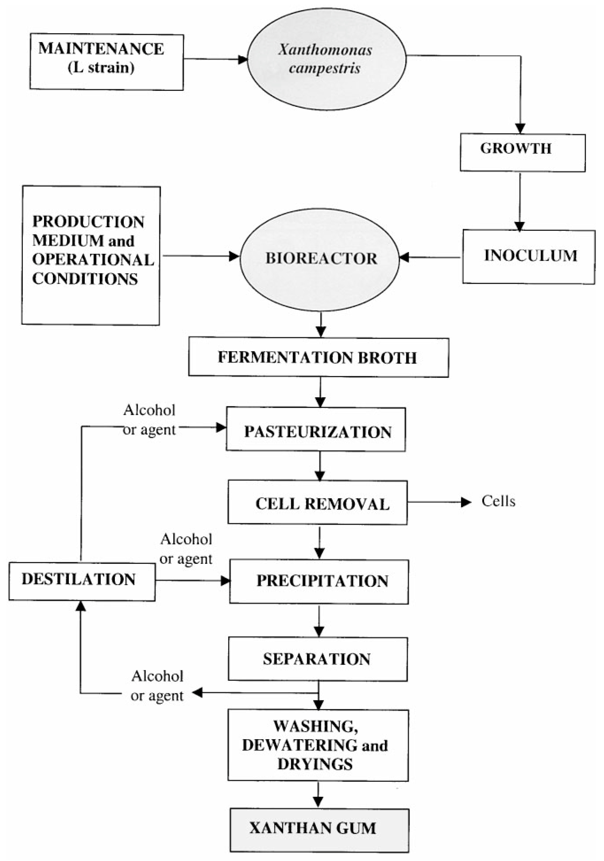 Polymers 12 01860 g003