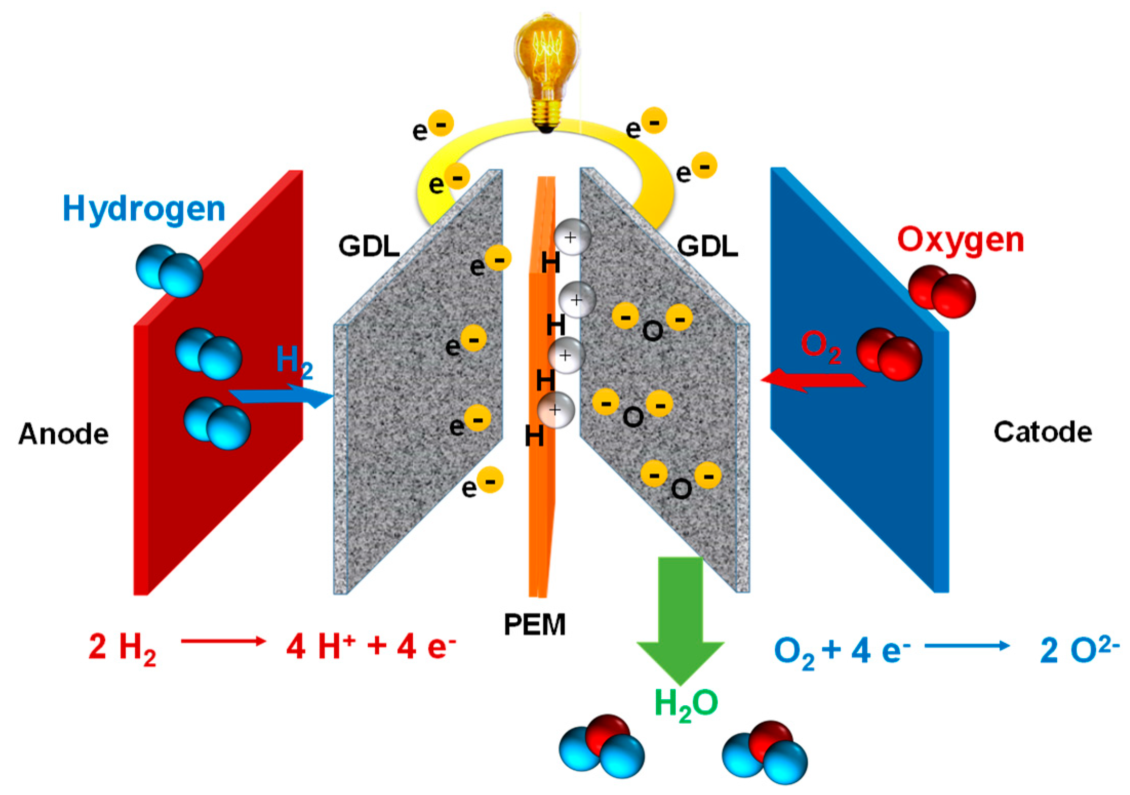 Polymers 12 01861 g001