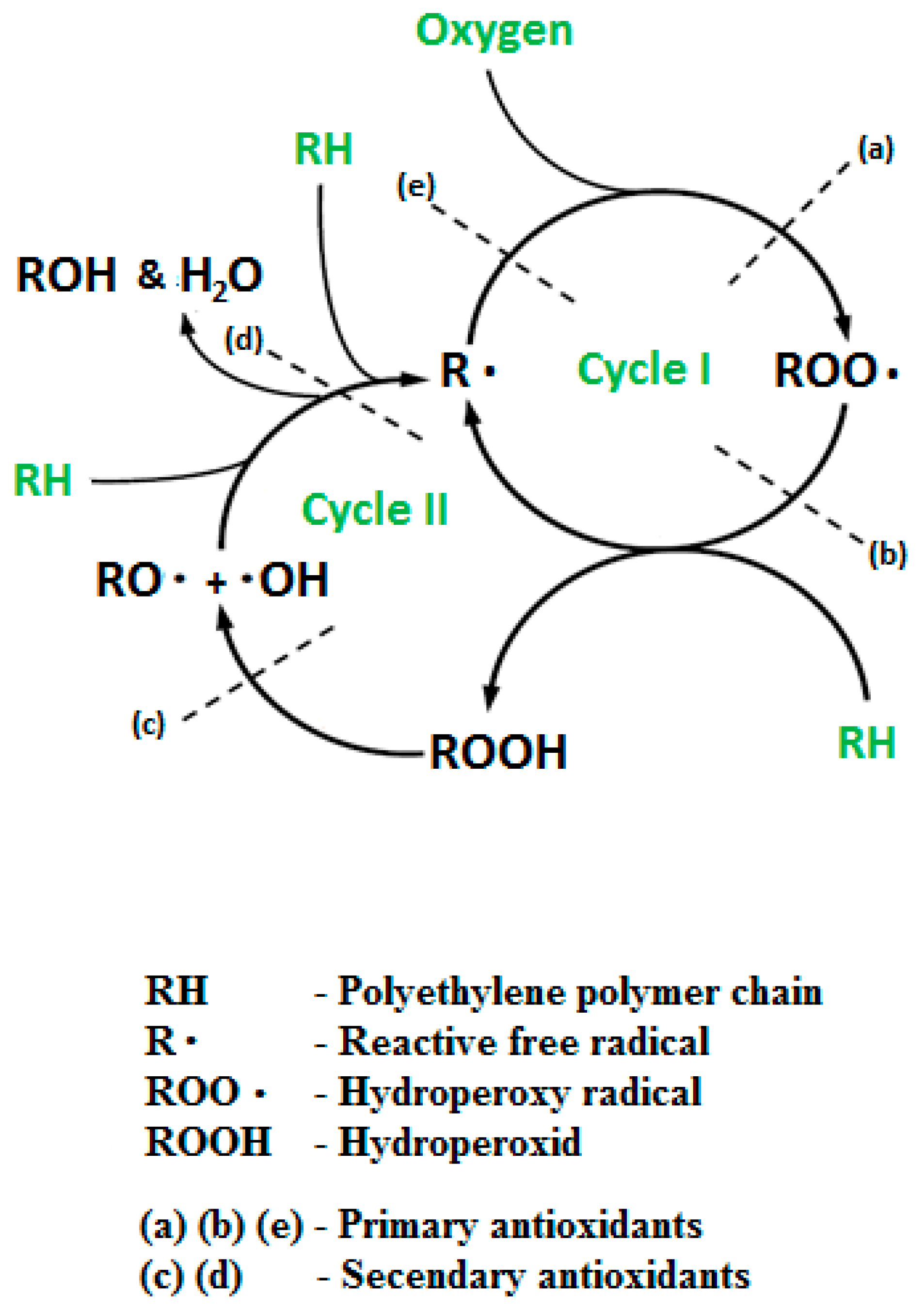 Polymers 12 01874 g001
