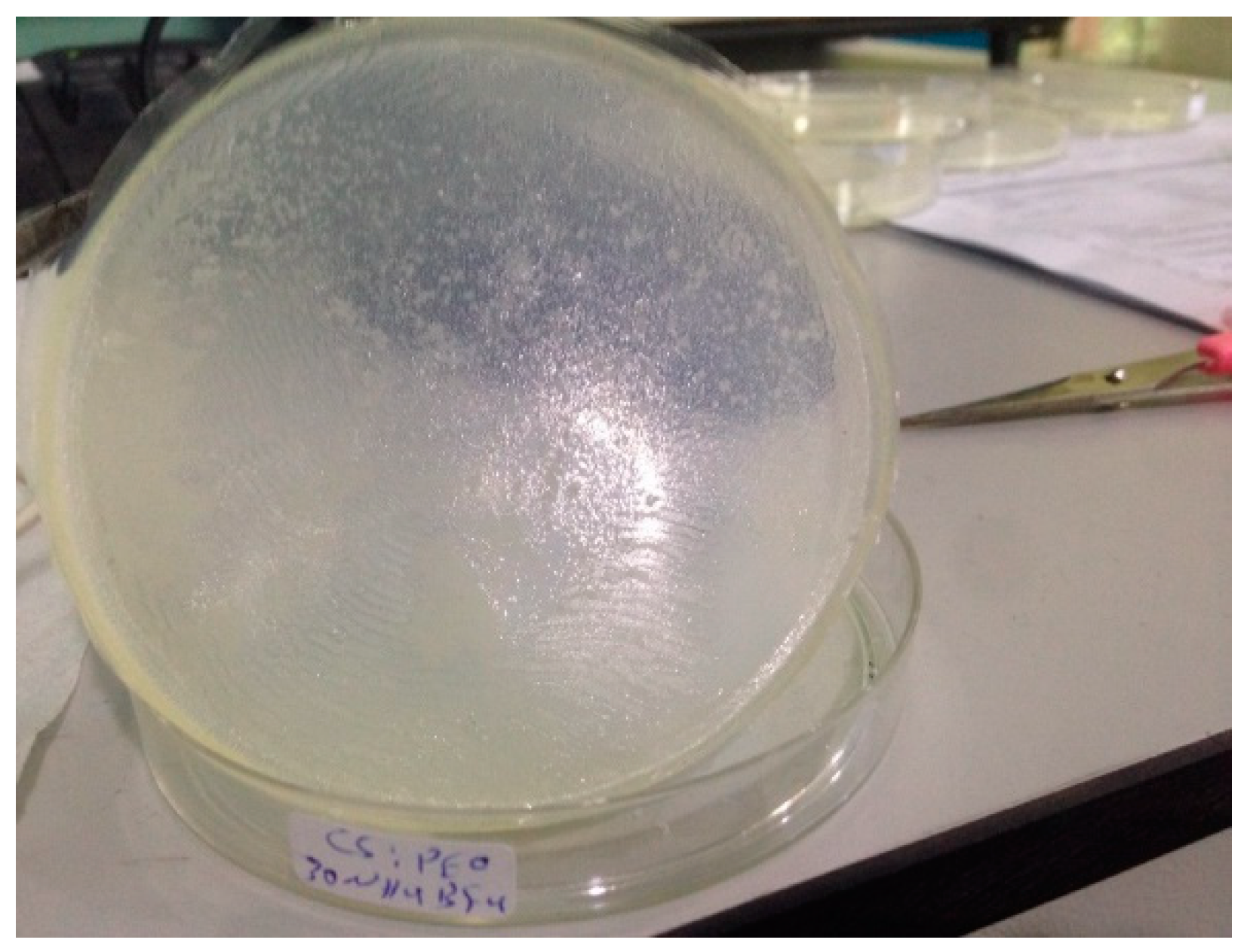 Polymers 12 01885 g003