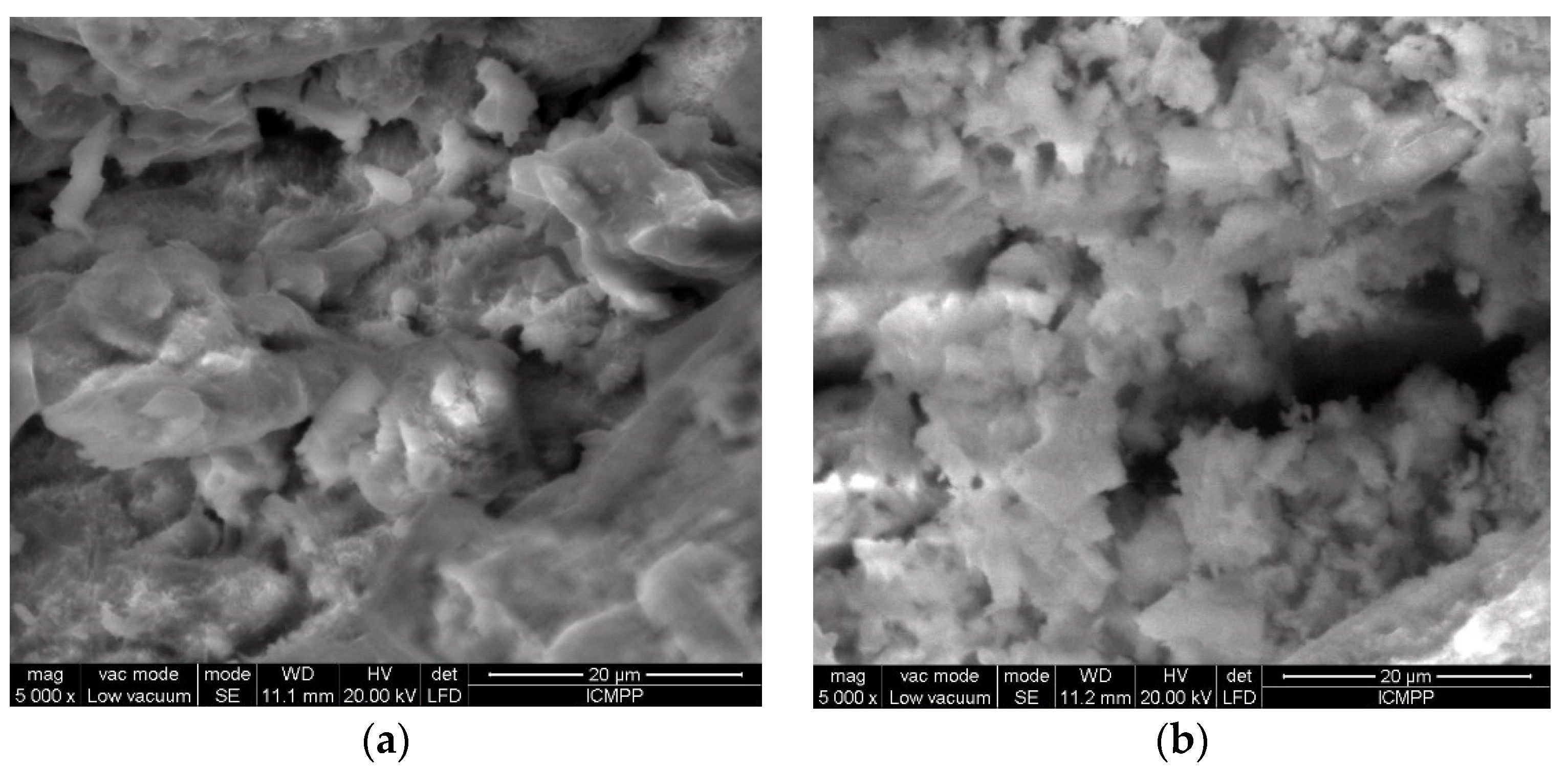 Polymers 12 01888 g006a