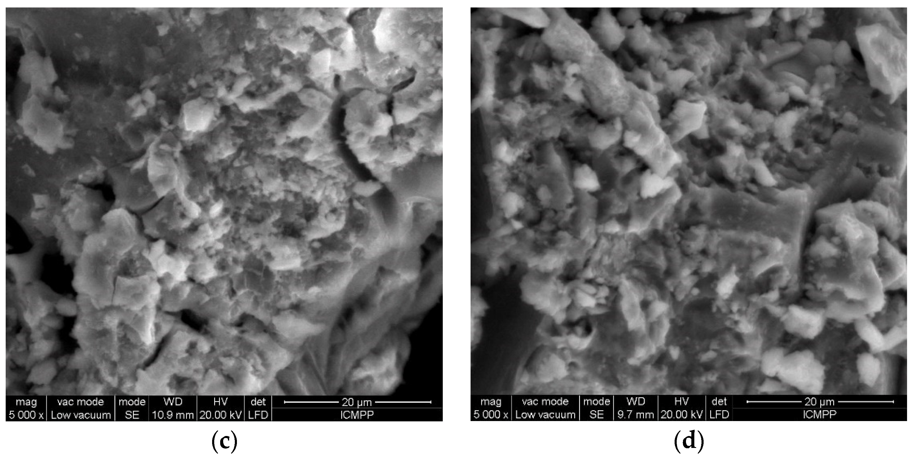 Polymers 12 01888 g006b