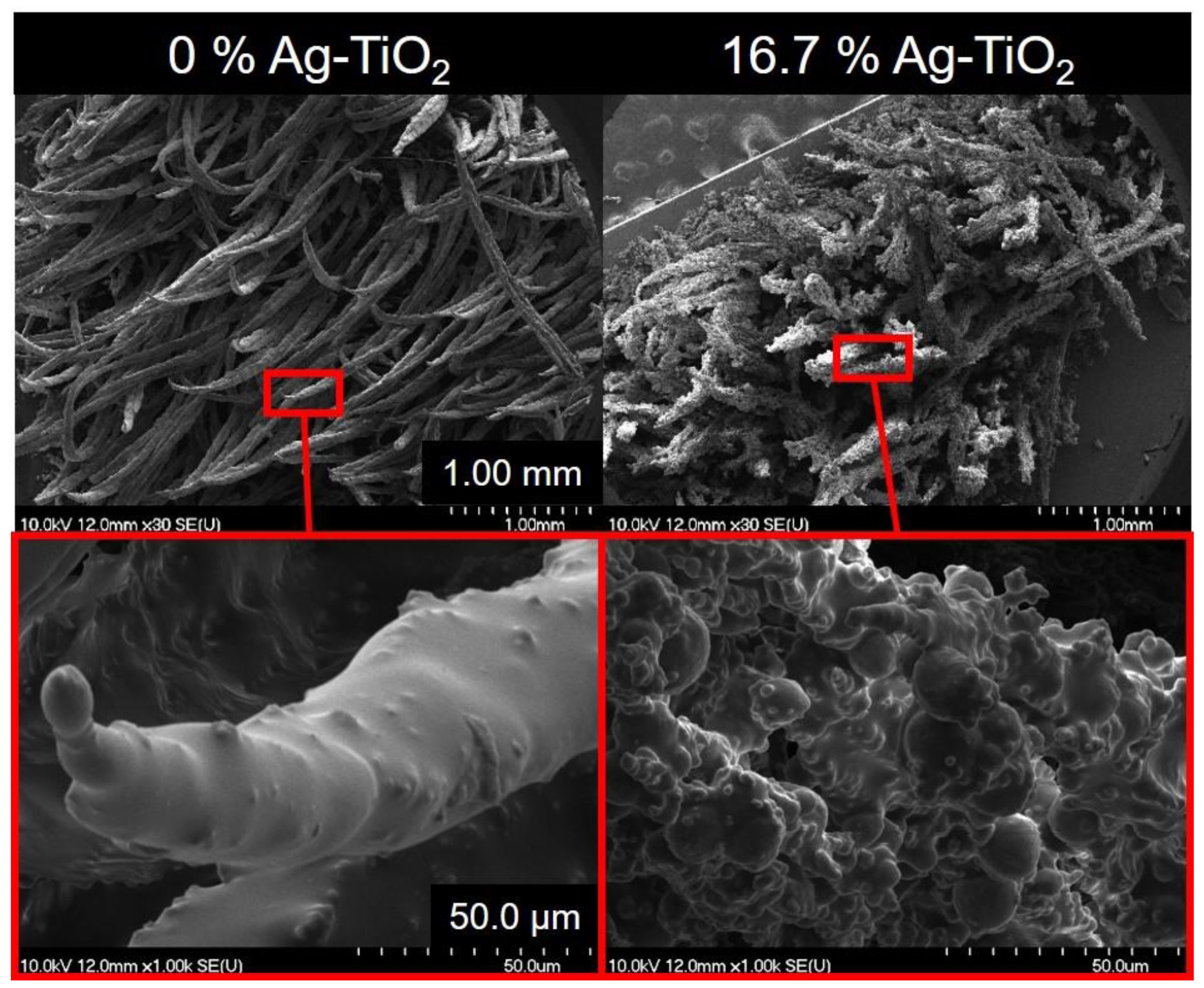 Polymers 12 01890 g003