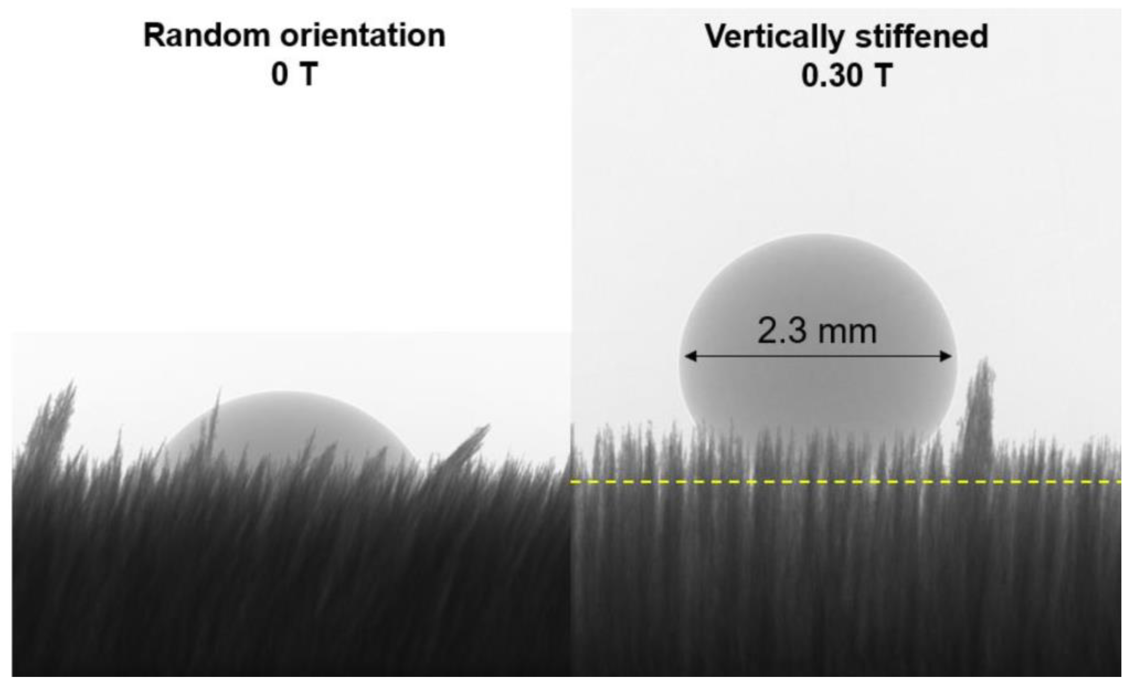 Polymers 12 01890 g005