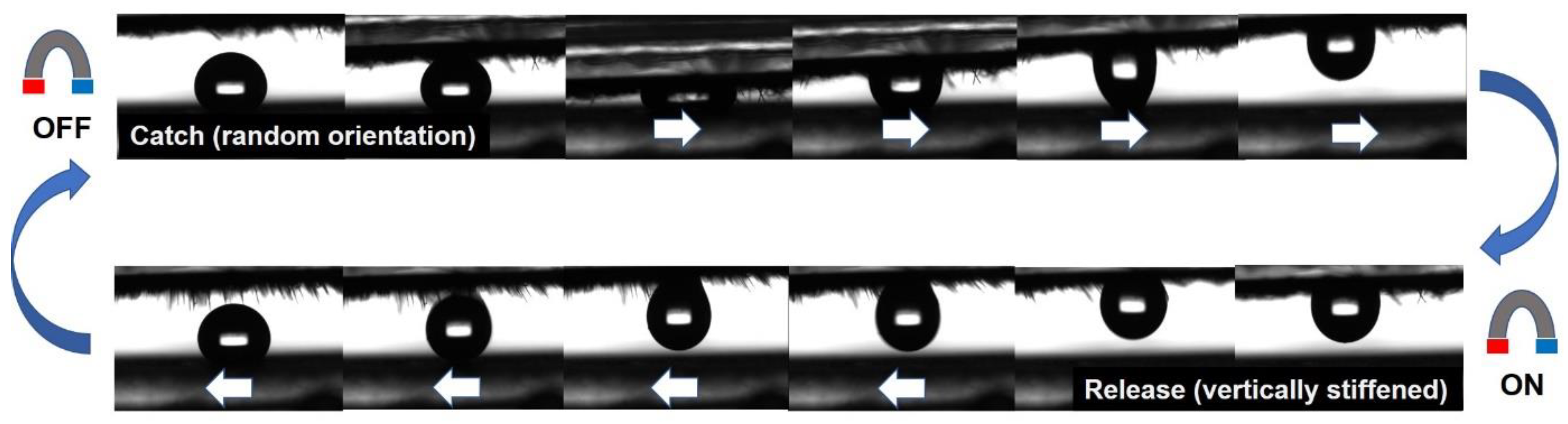 Polymers 12 01890 g006