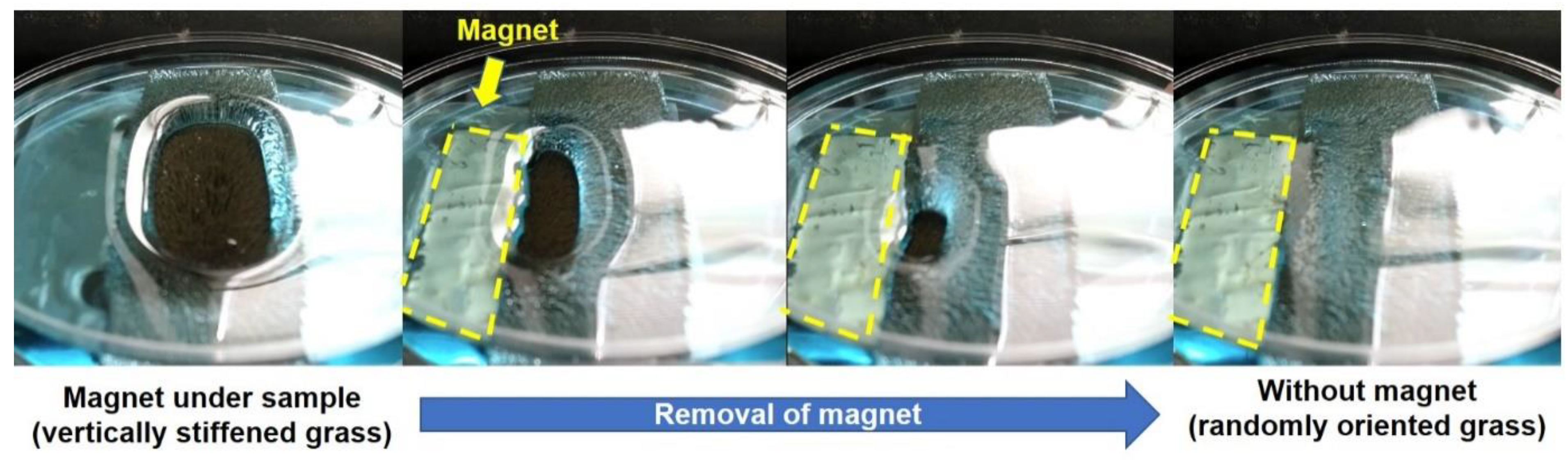 Polymers 12 01890 g007