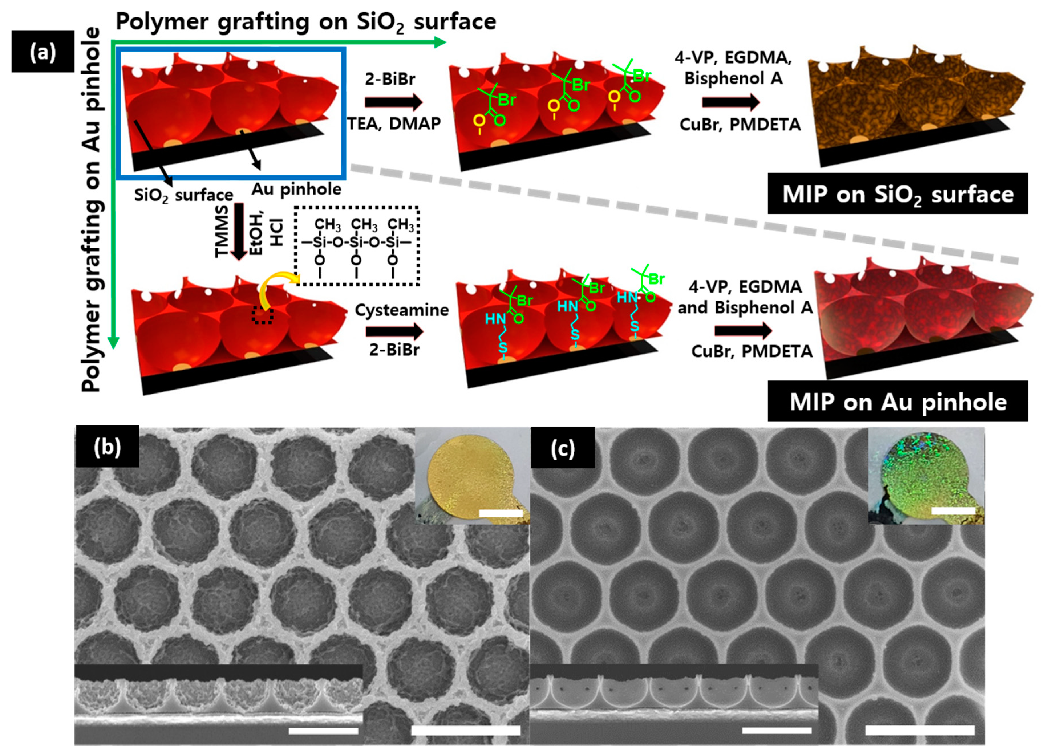 Polymers 12 01892 g001