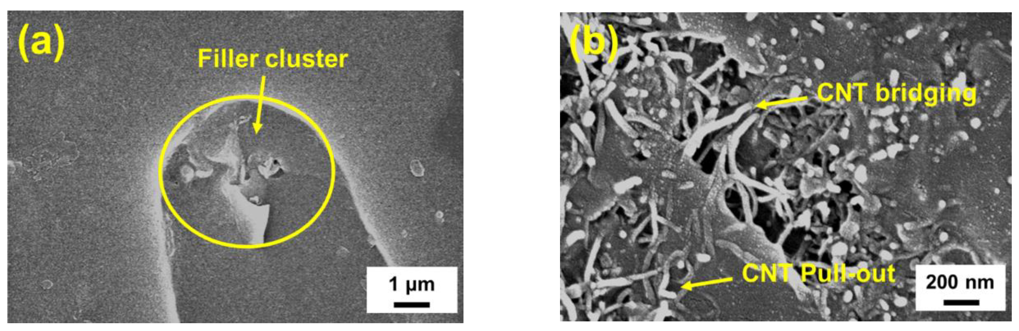 Polymers 12 01895 g018