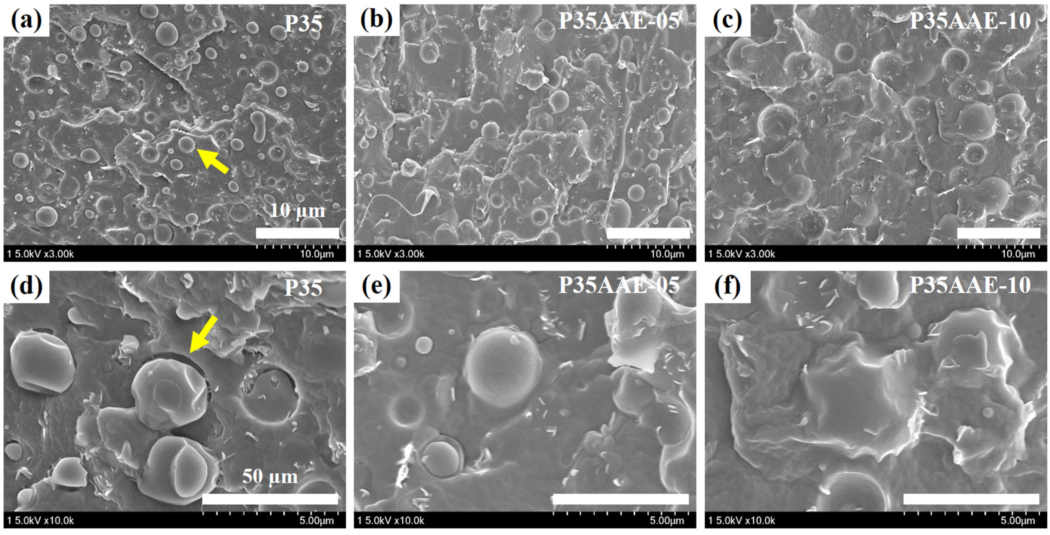Polymers 12 01904 g004