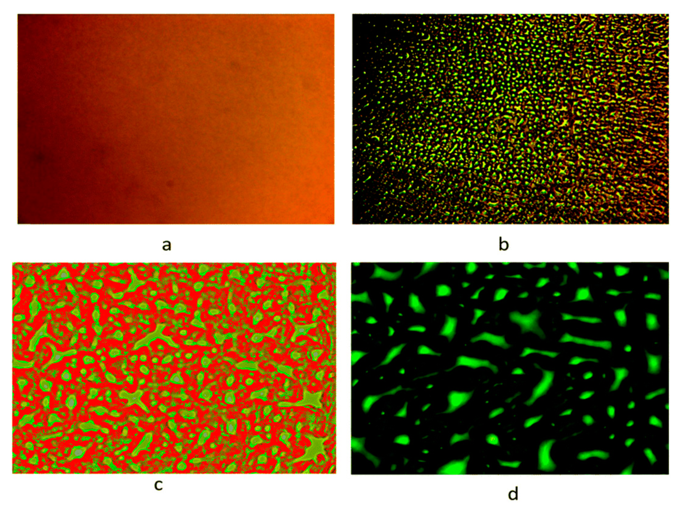 Polymers 12 01908 g002