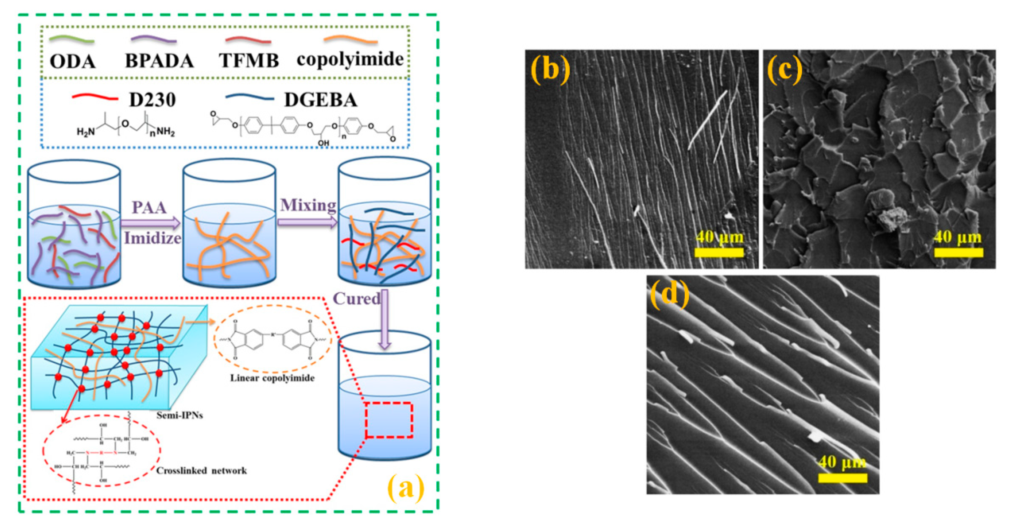 Polymers 12 01908 g003