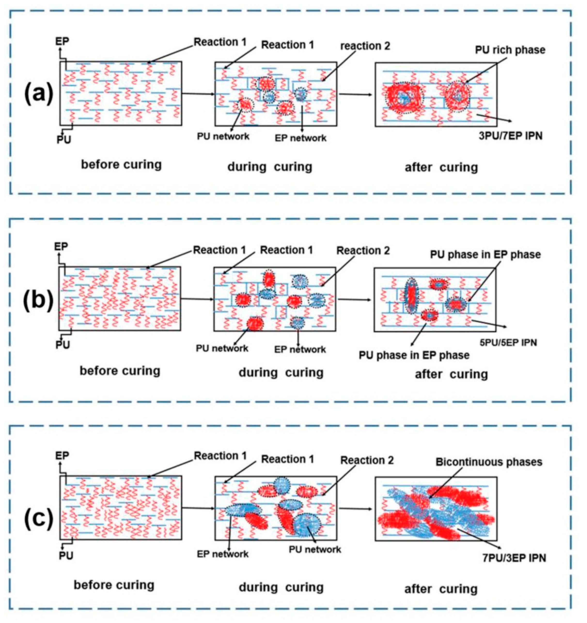 Polymers 12 01908 g005