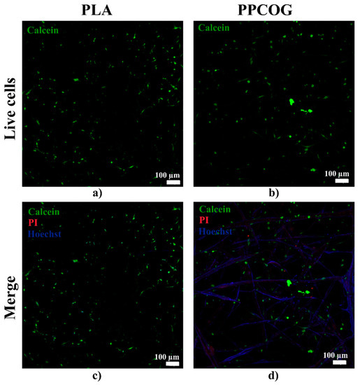 Polymers 12 01911 g009a Polymers 12 01911 g009a