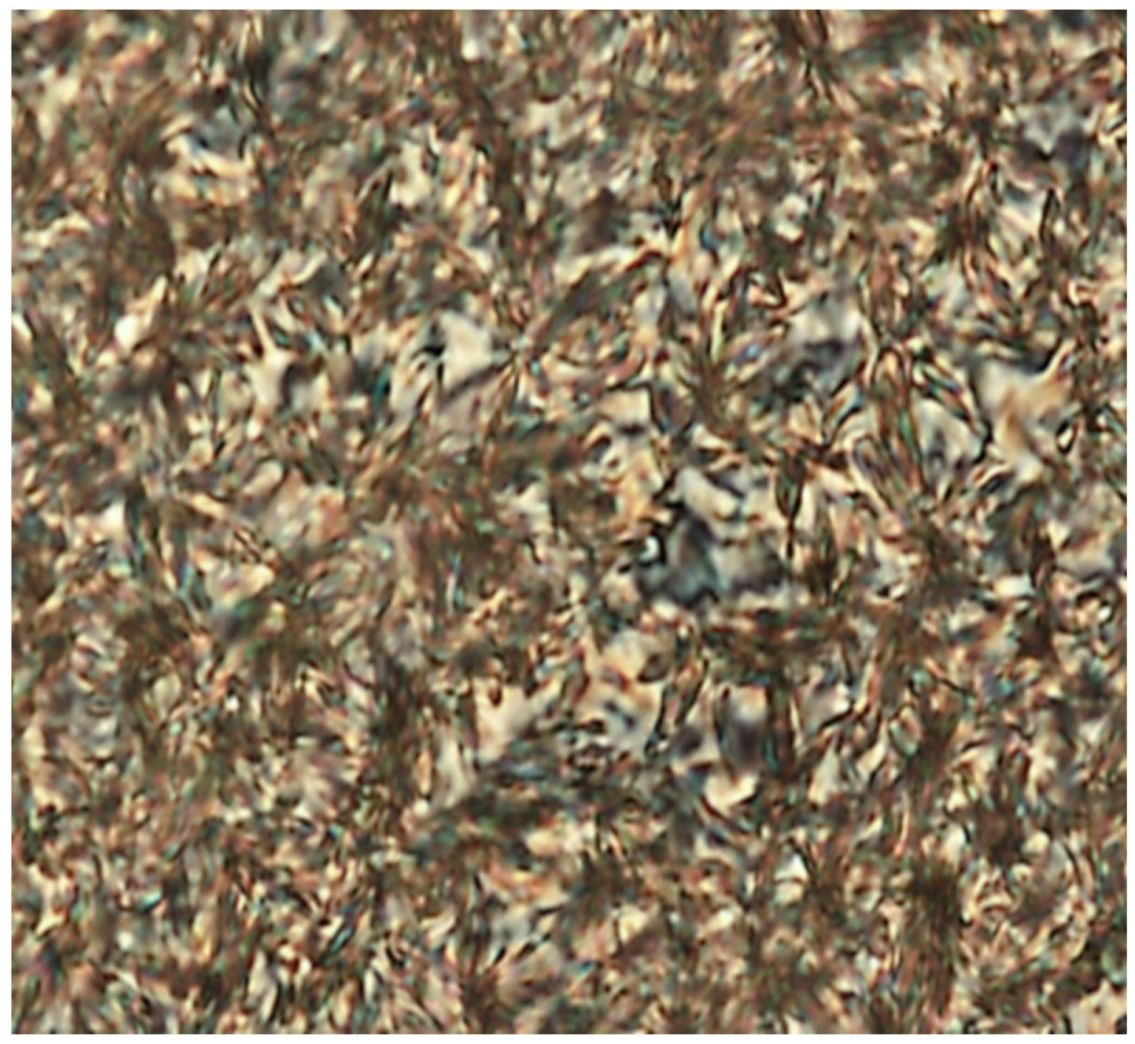 Polymers 12 01913 g004 Polymers 12 01913 g004