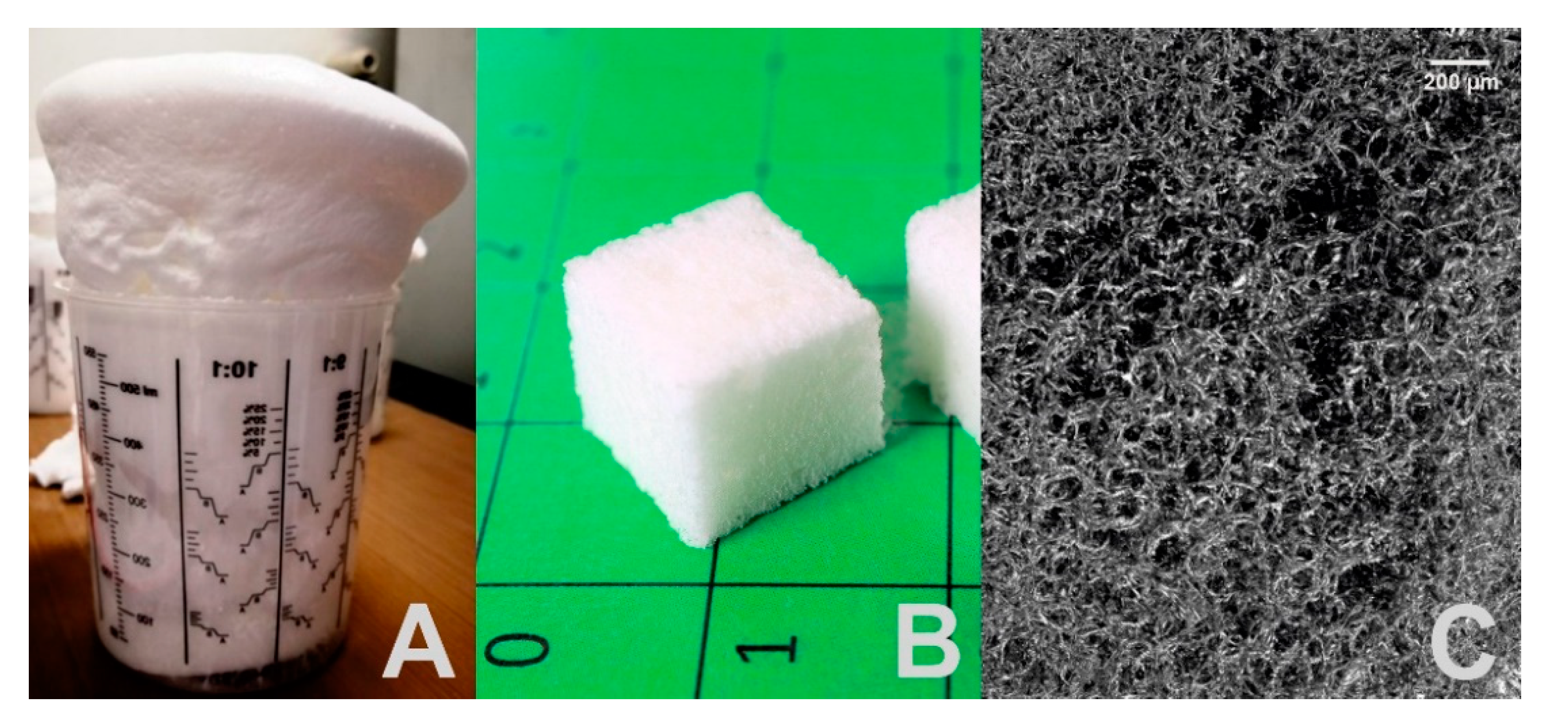 Polymers 12 01914 g002
