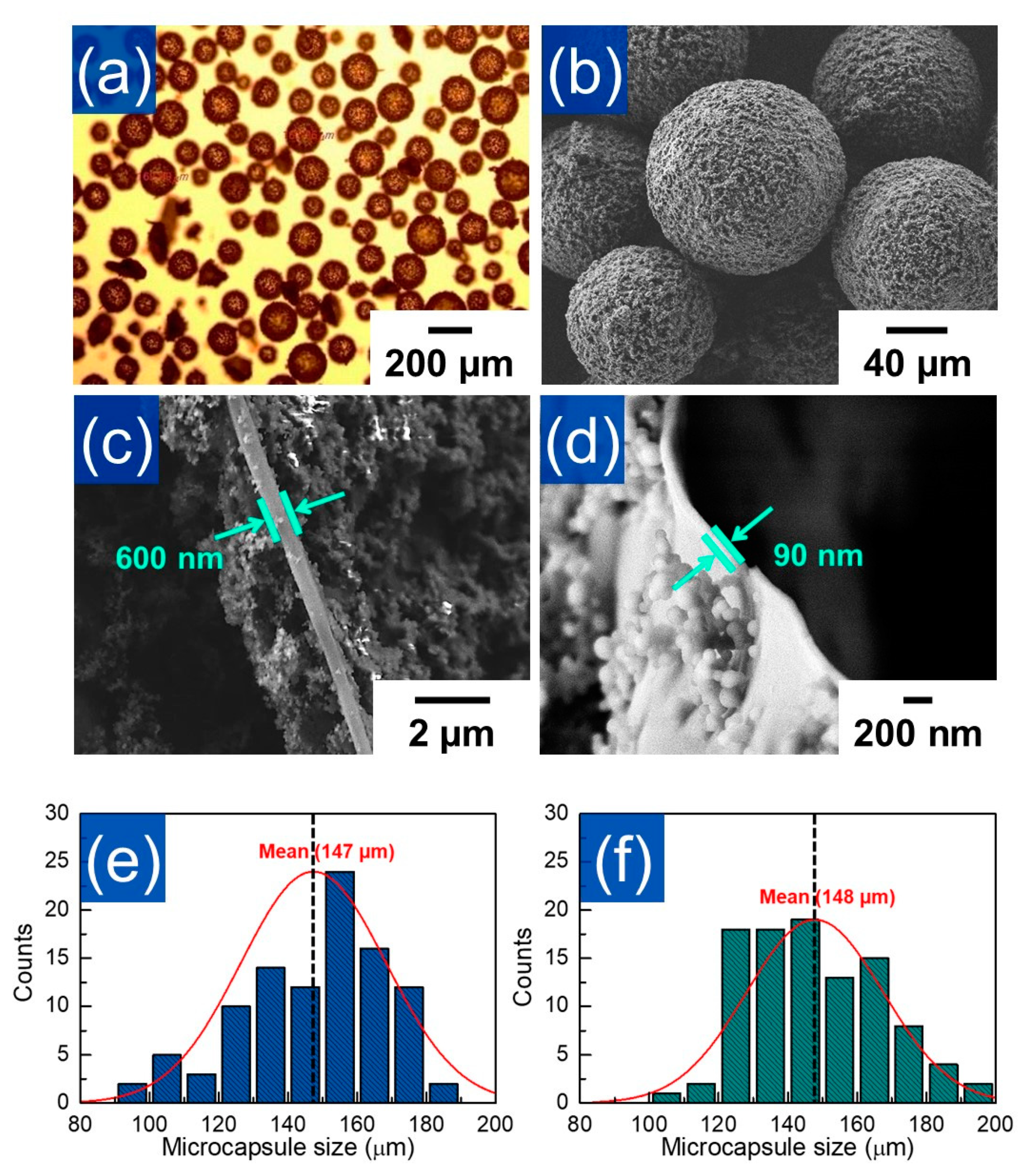 Polymers 12 01918 g002