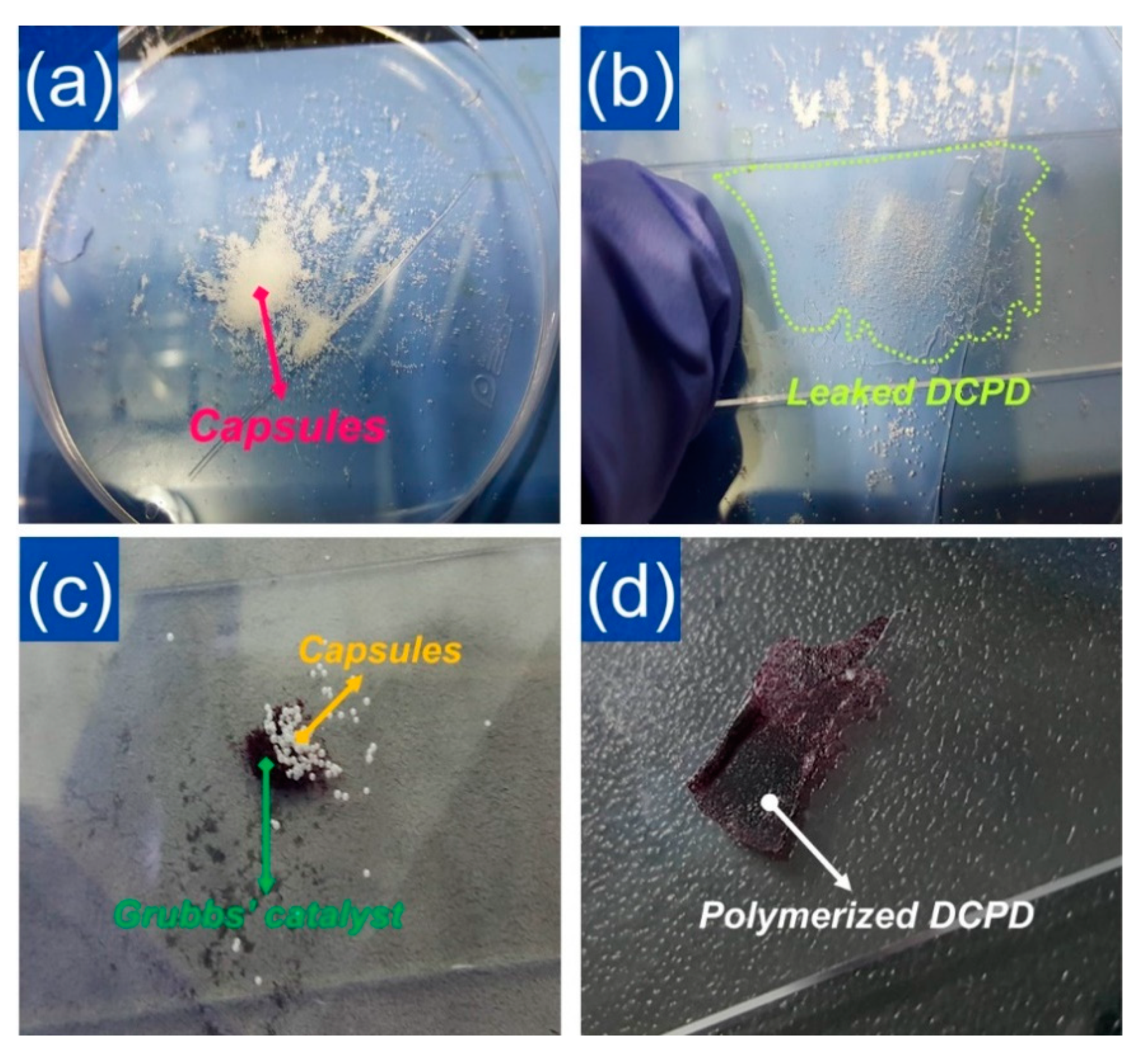 Polymers 12 01918 g004