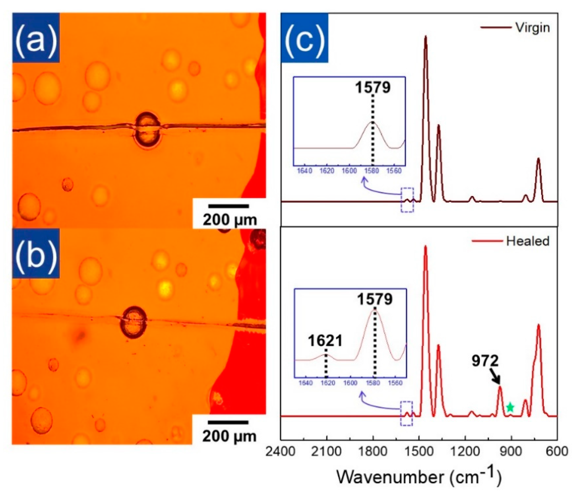 Polymers 12 01918 g005
