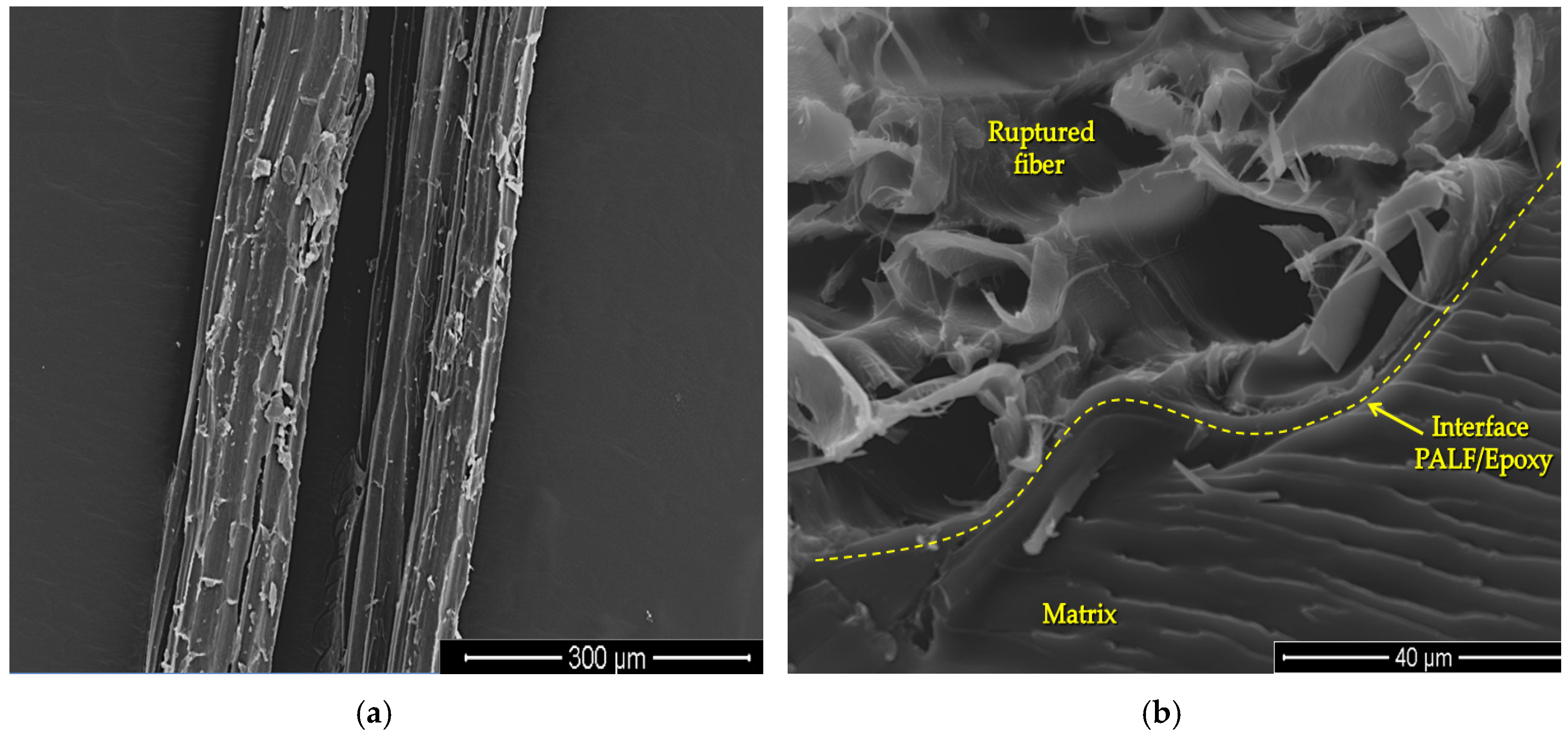 Polymers 12 01920 g005