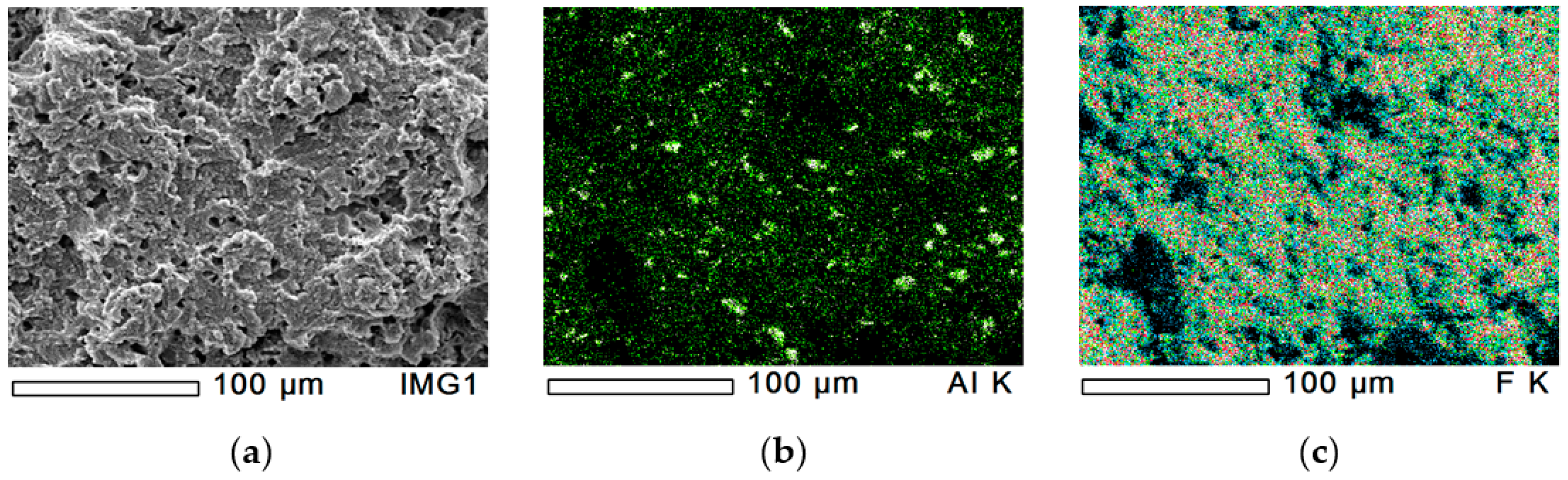 Polymers 12 01940 g002