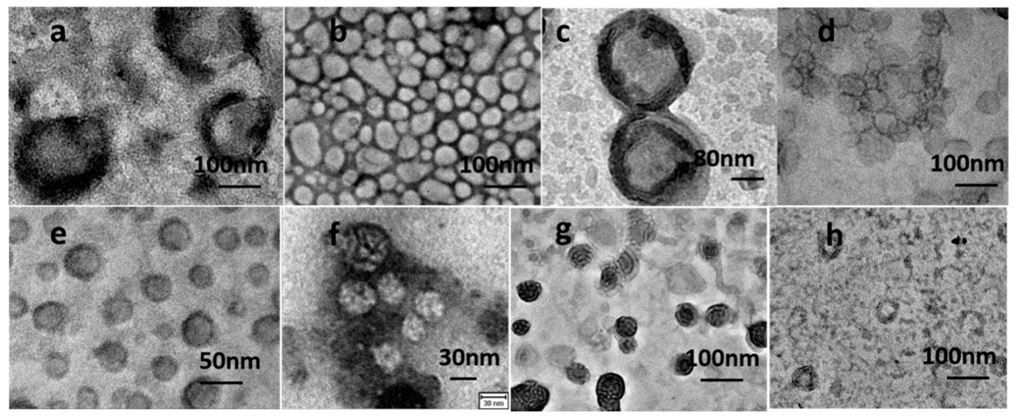 Polymers 12 01944 g001