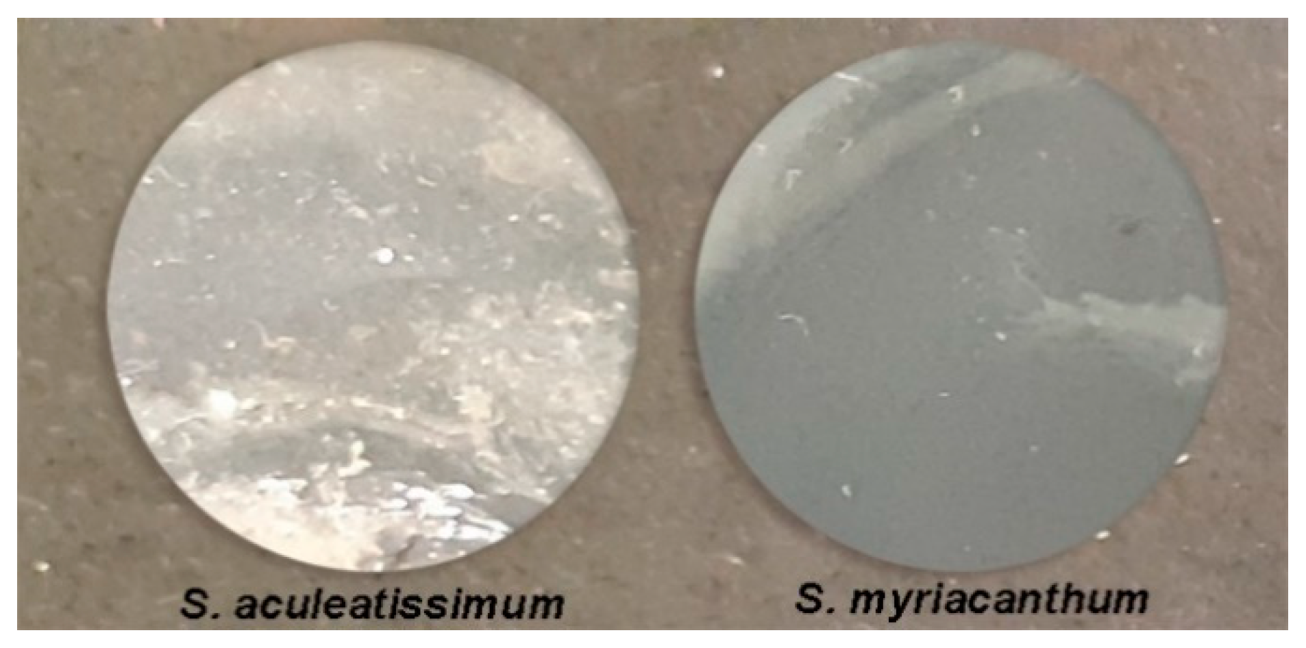 Polymers 12 01945 g006 Polymers 12 01945 g006