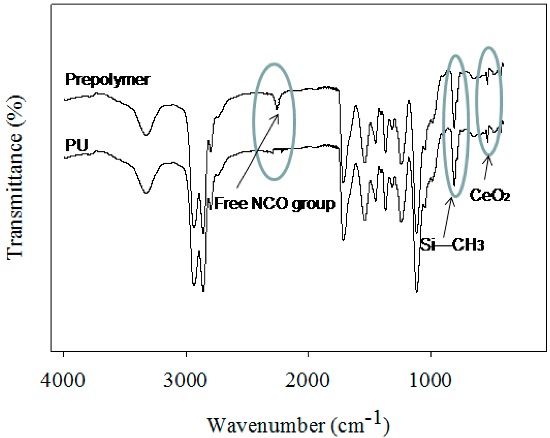 Polymers 12 01947 g001