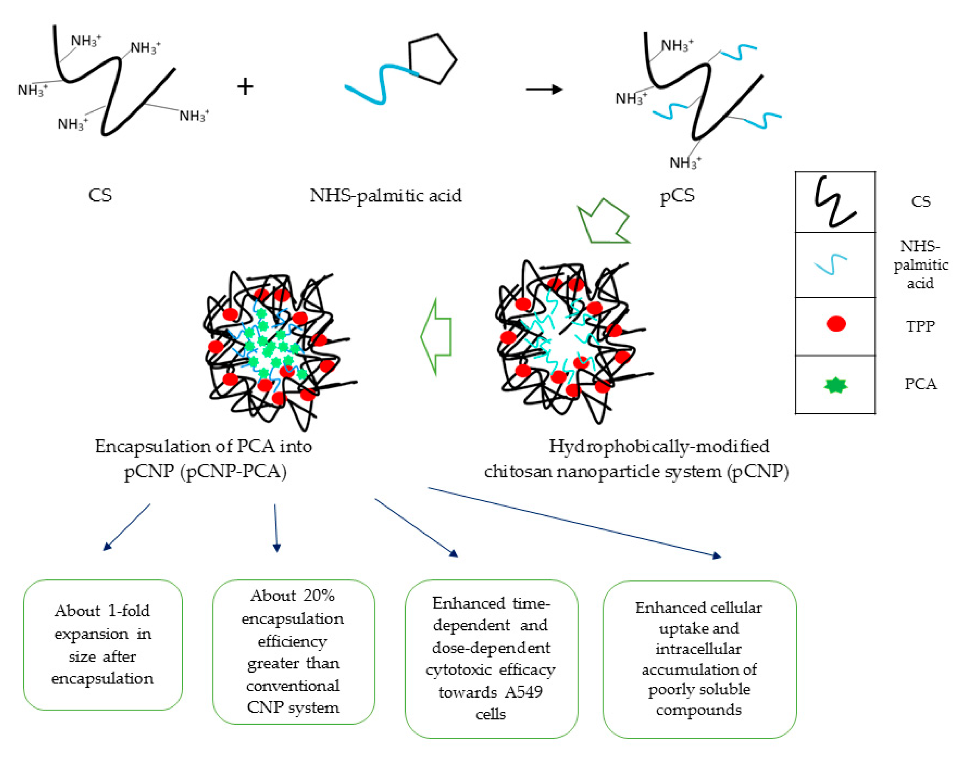 Polymers 12 01951 g001