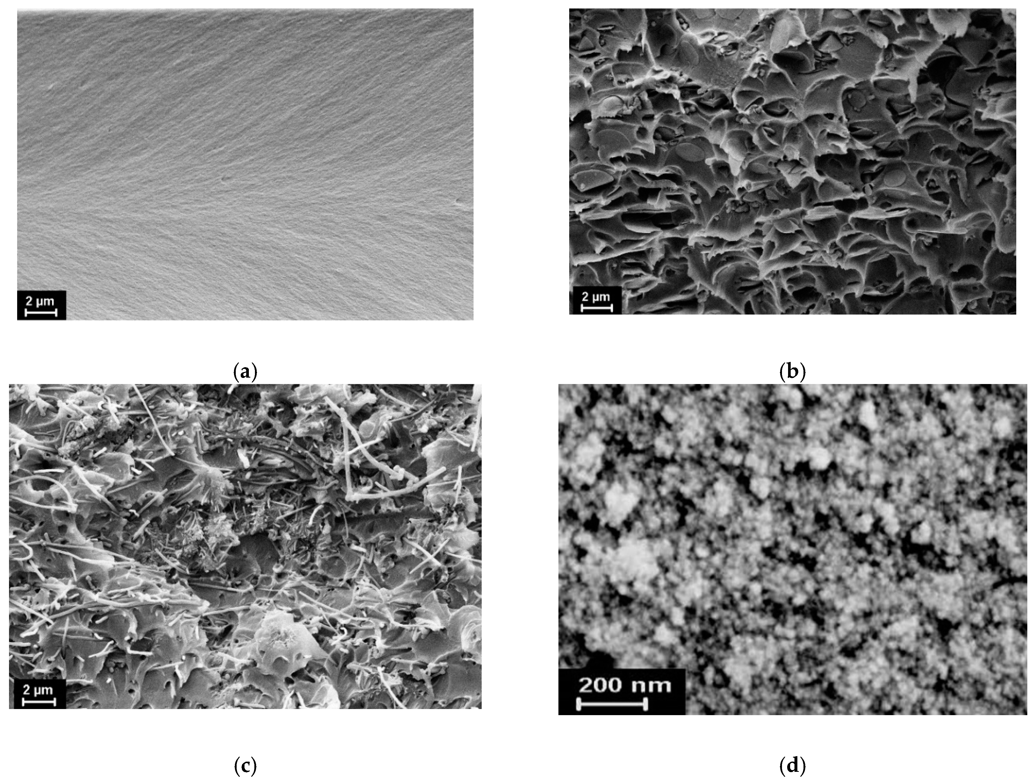 Polymers 12 01952 g003
