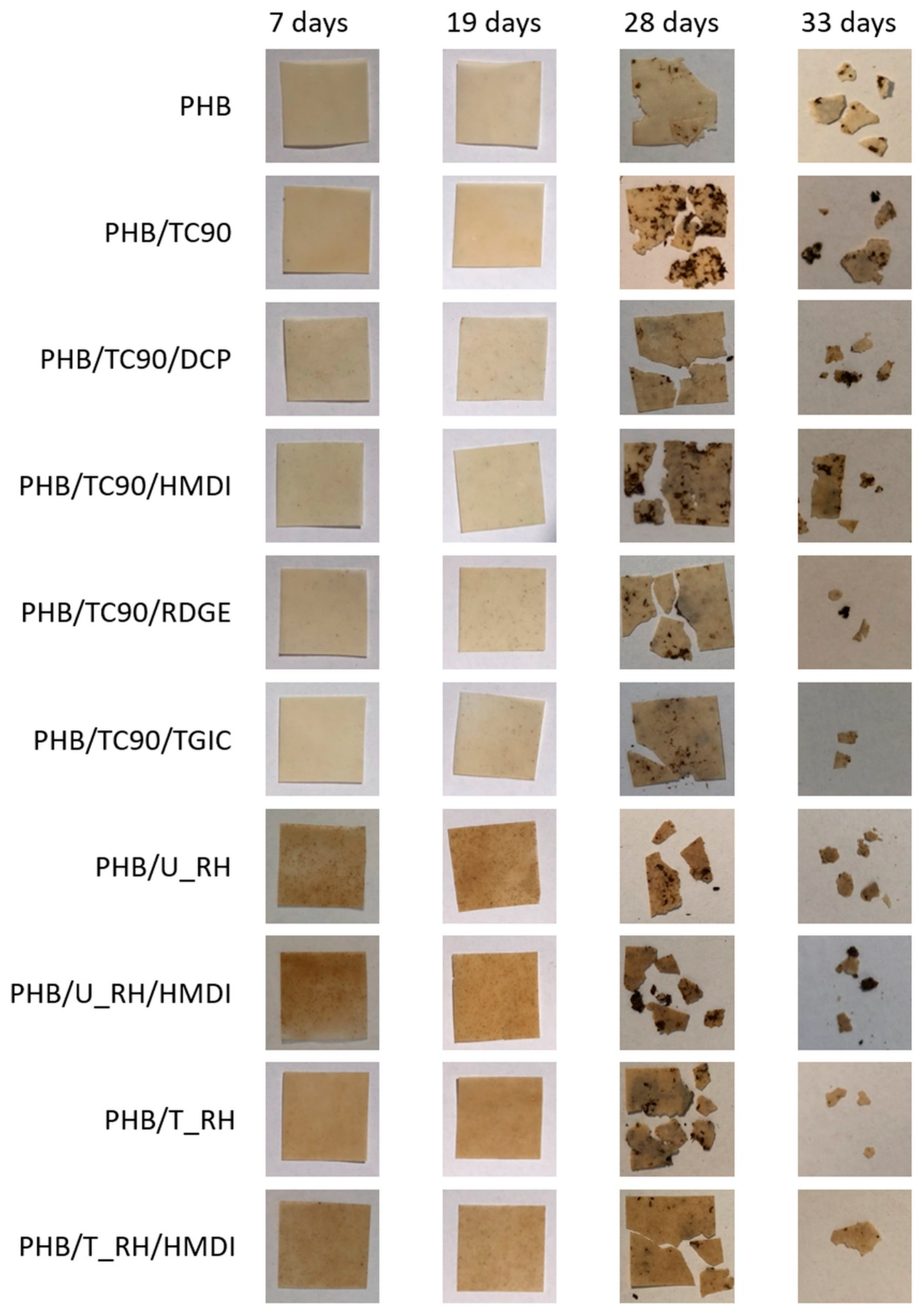 Polymers 12 01967 g010