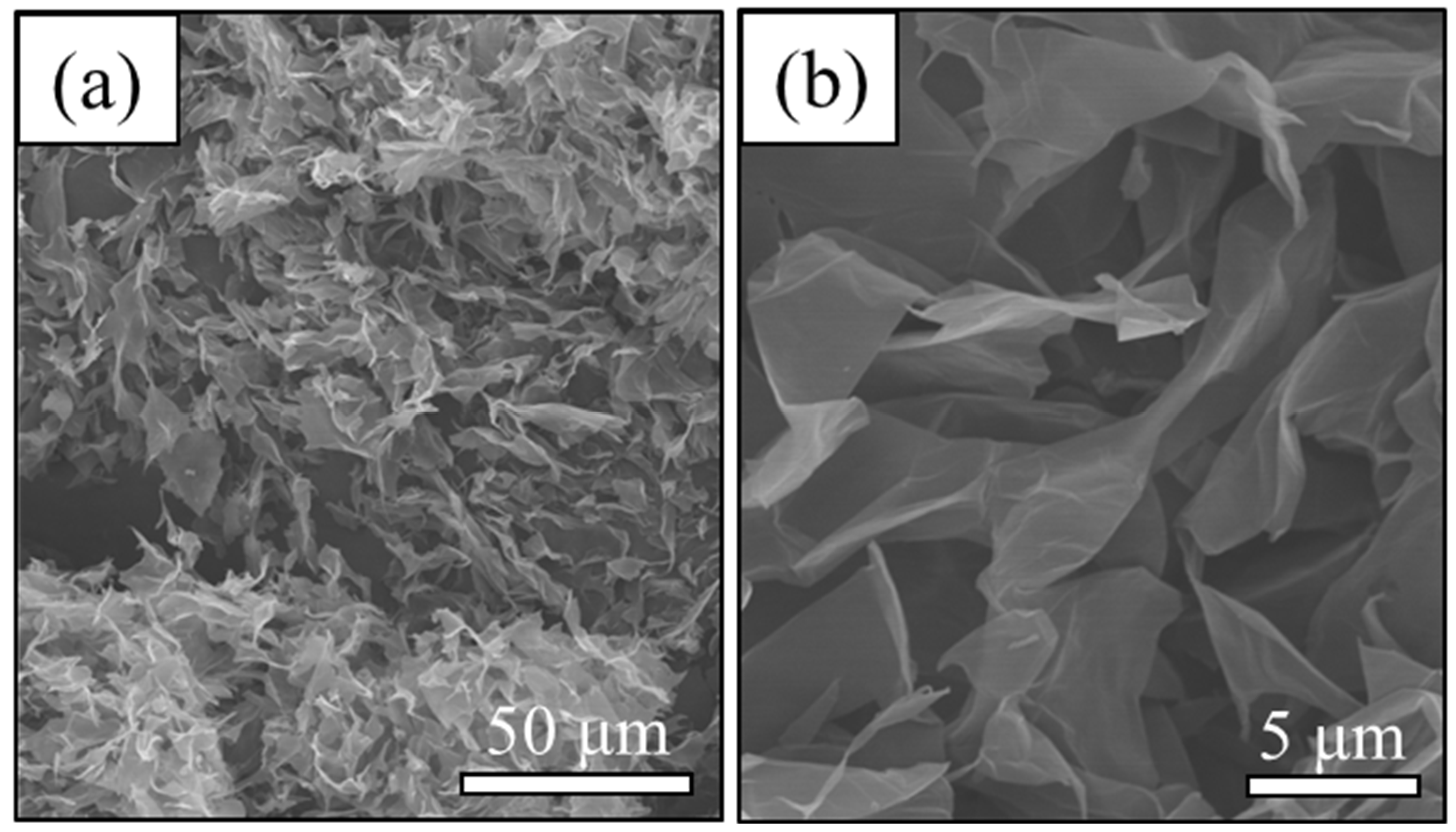 Polymers 12 01984 g001