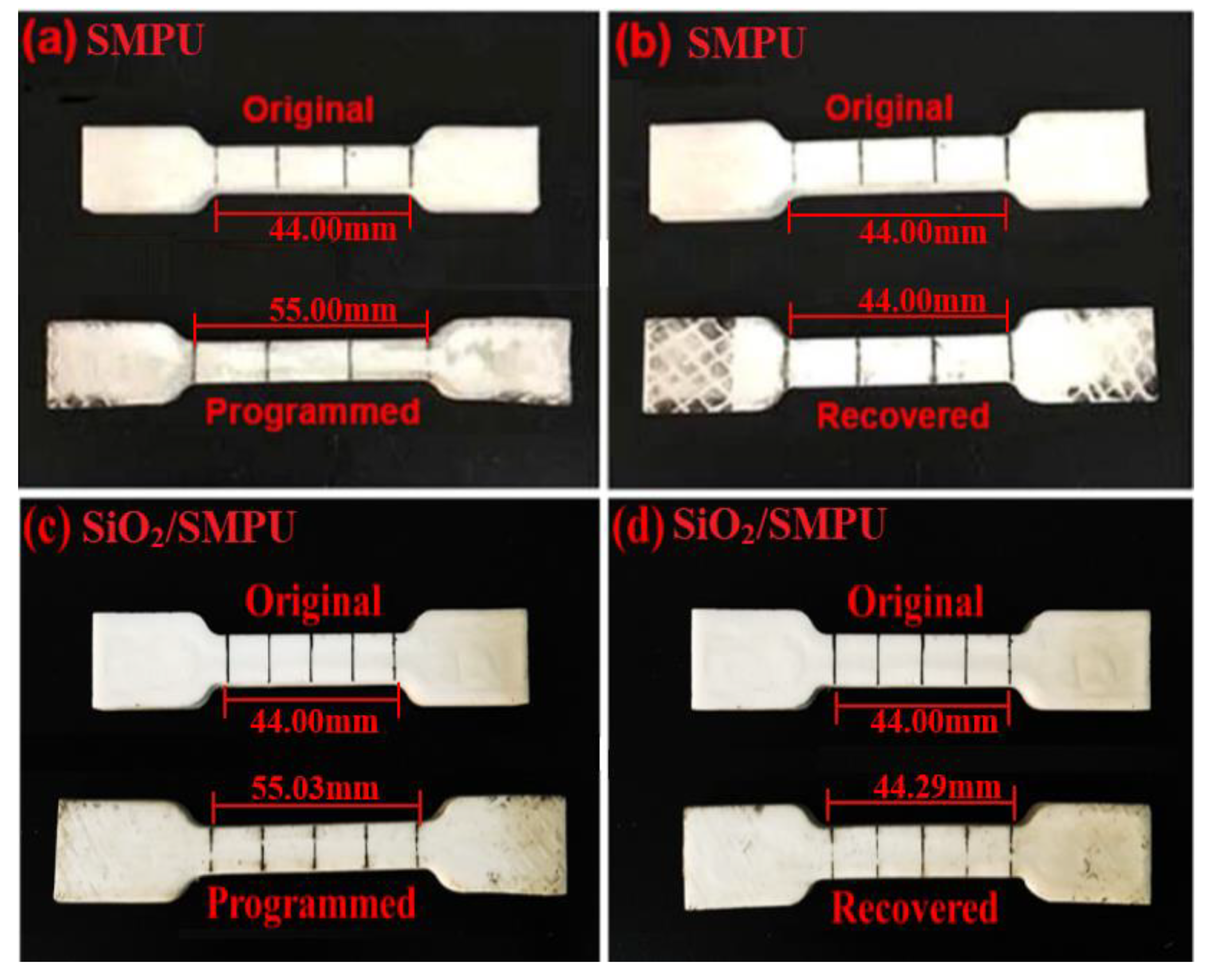 Polymers 12 01994 g005