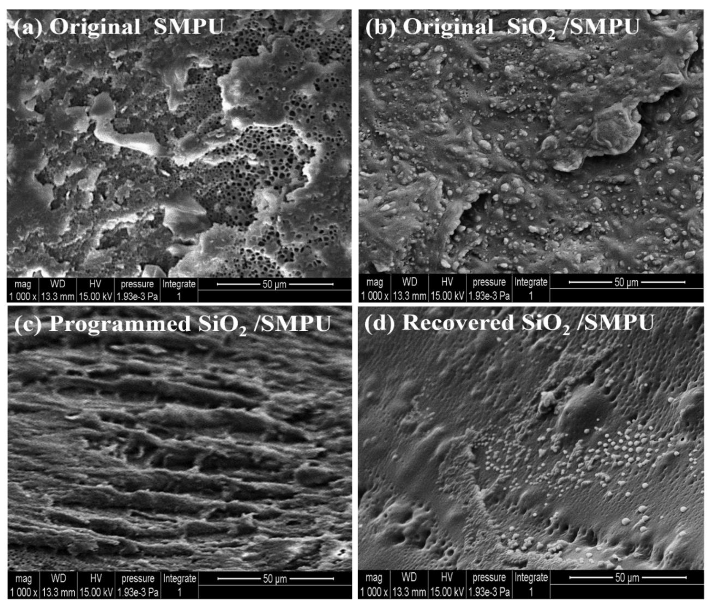 Polymers 12 01994 g006