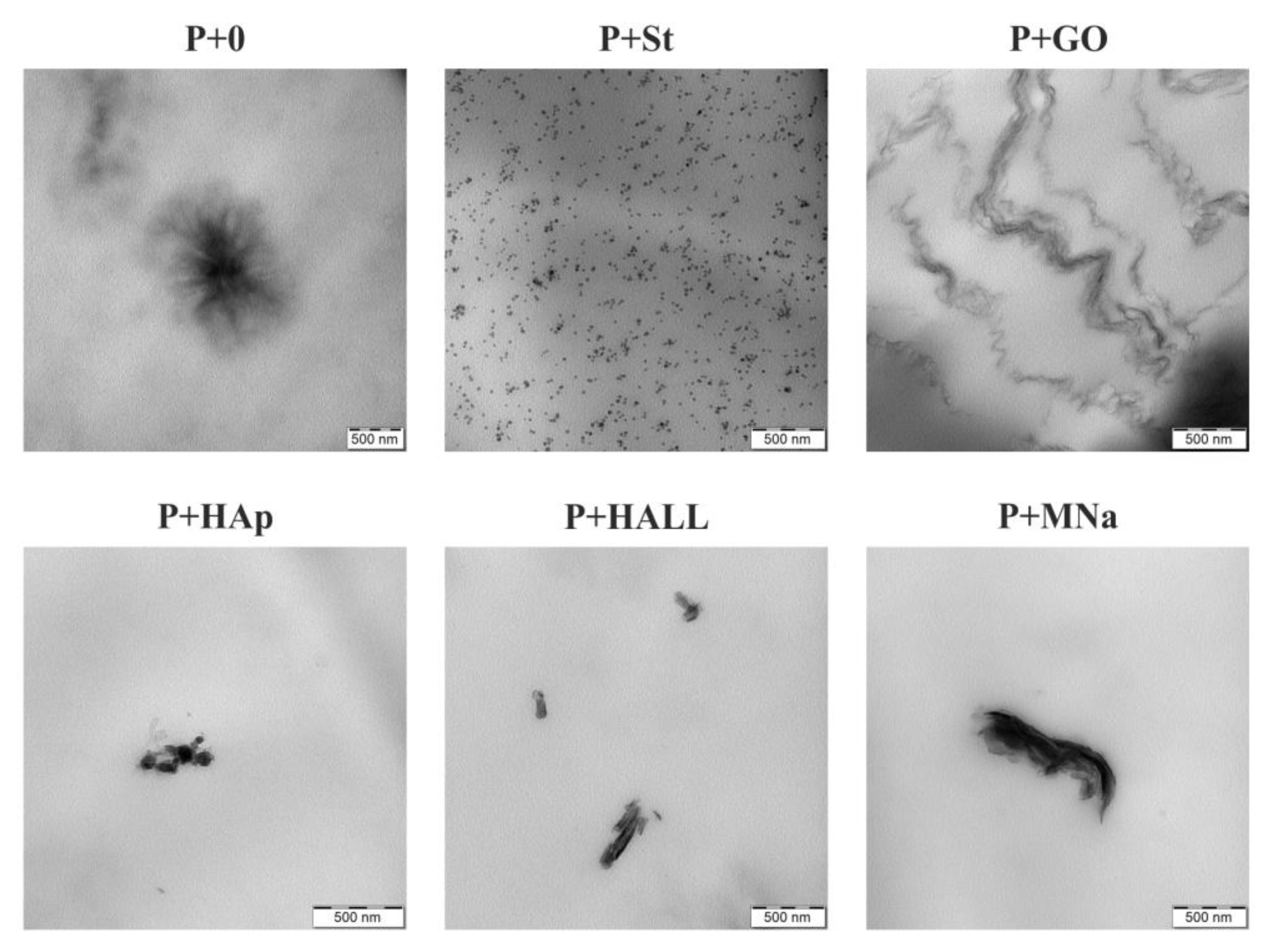 Polymers 12 02001 g007